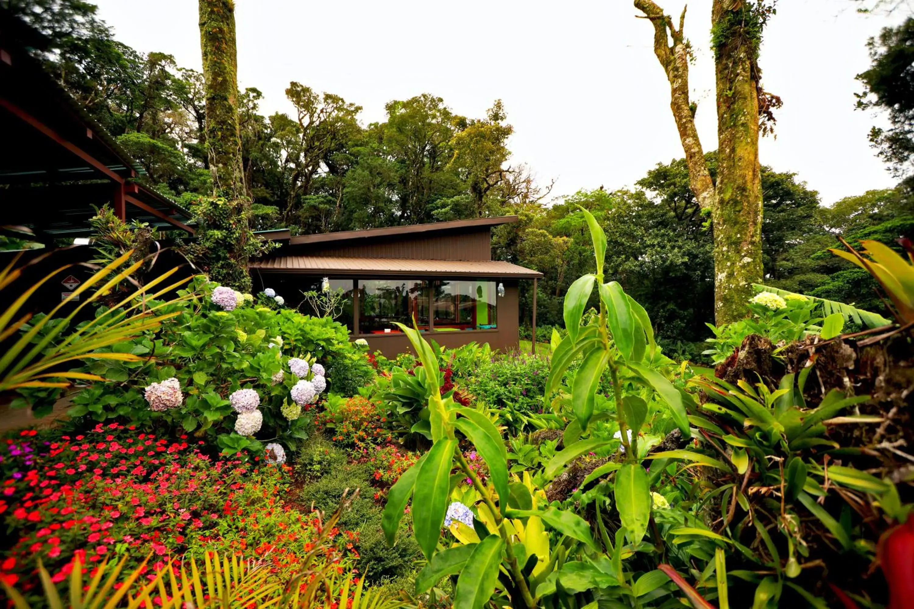 Area and facilities, Property Building in Trapp Family Lodge Monteverde