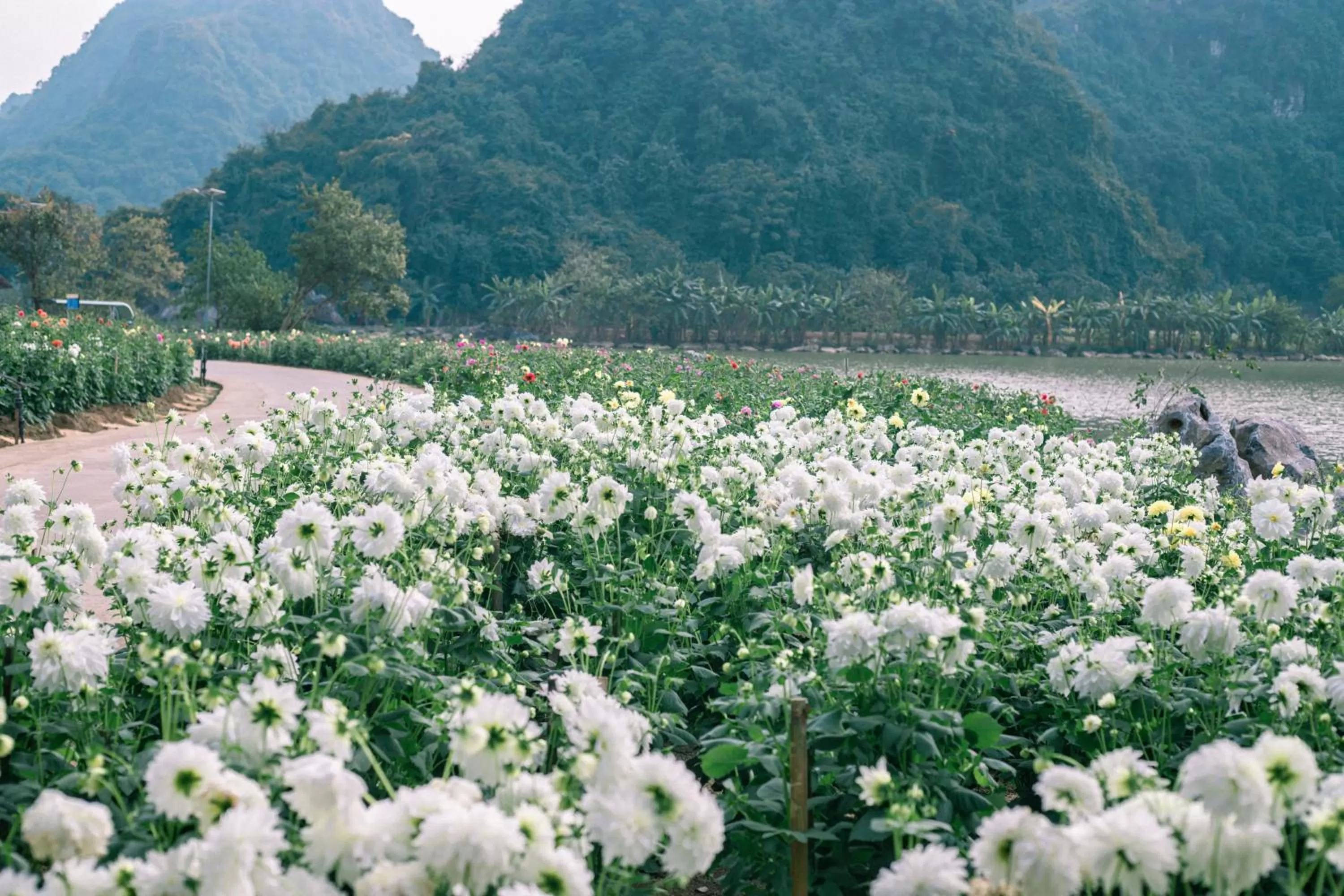 Natural landscape in Thung Nham Resort