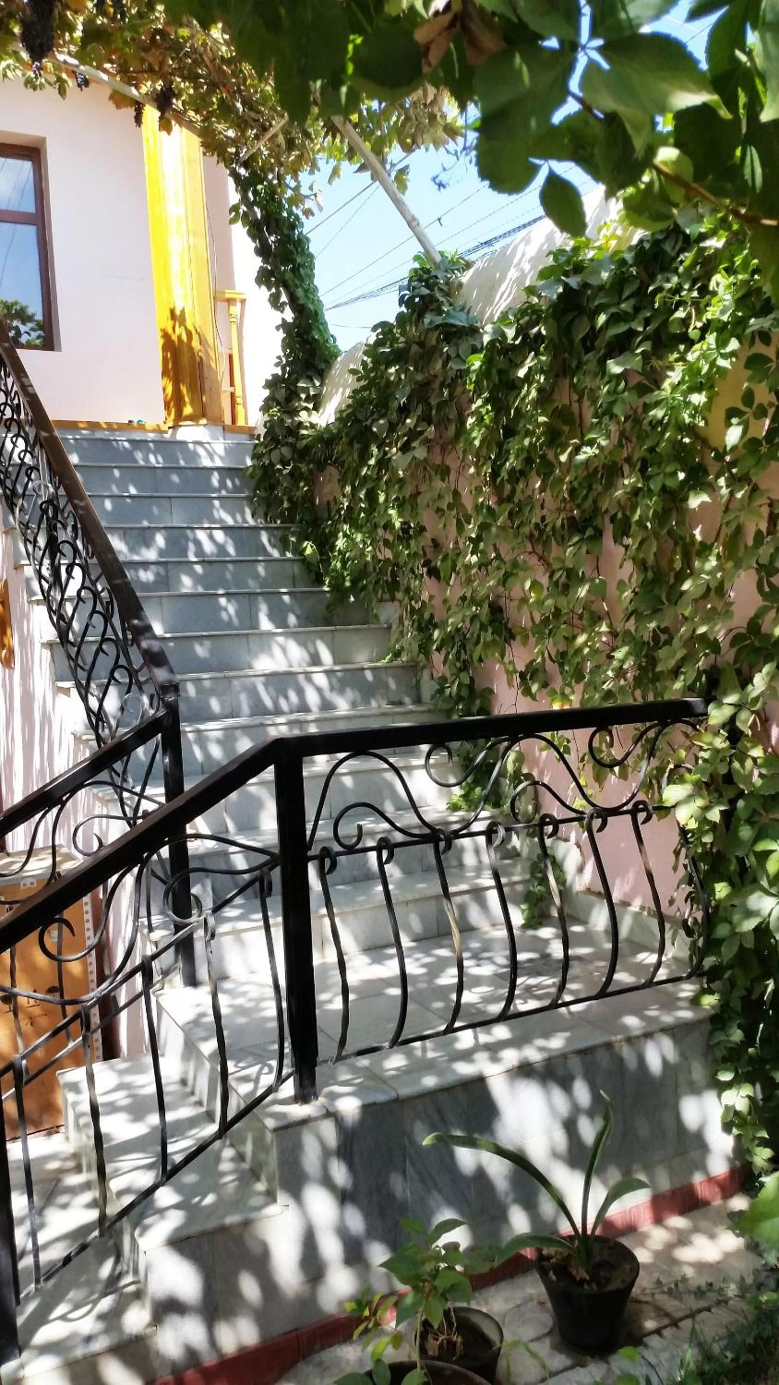 Facade/entrance in Jahongir