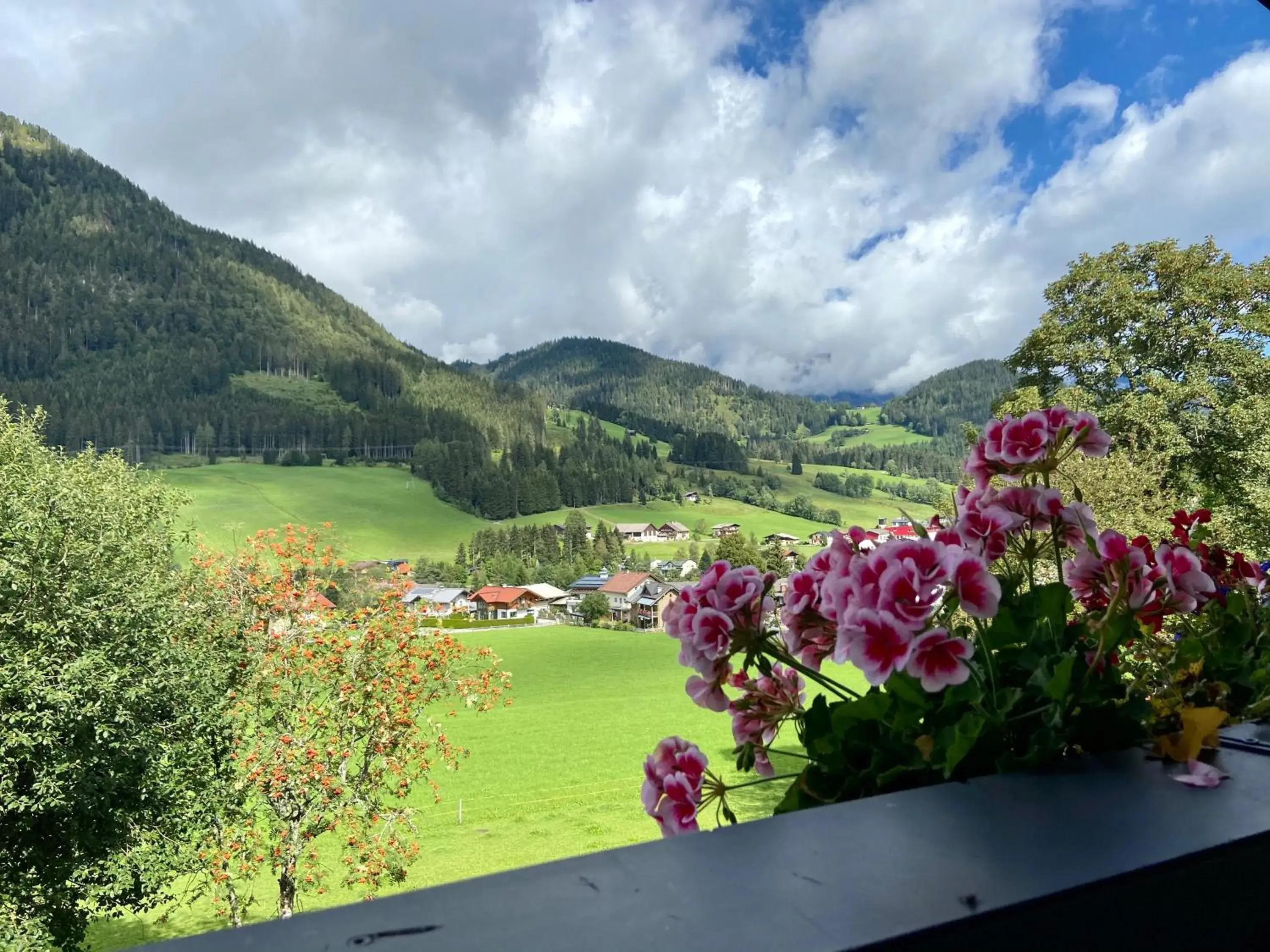 View (from property/room), Mountain View in Alpenhof