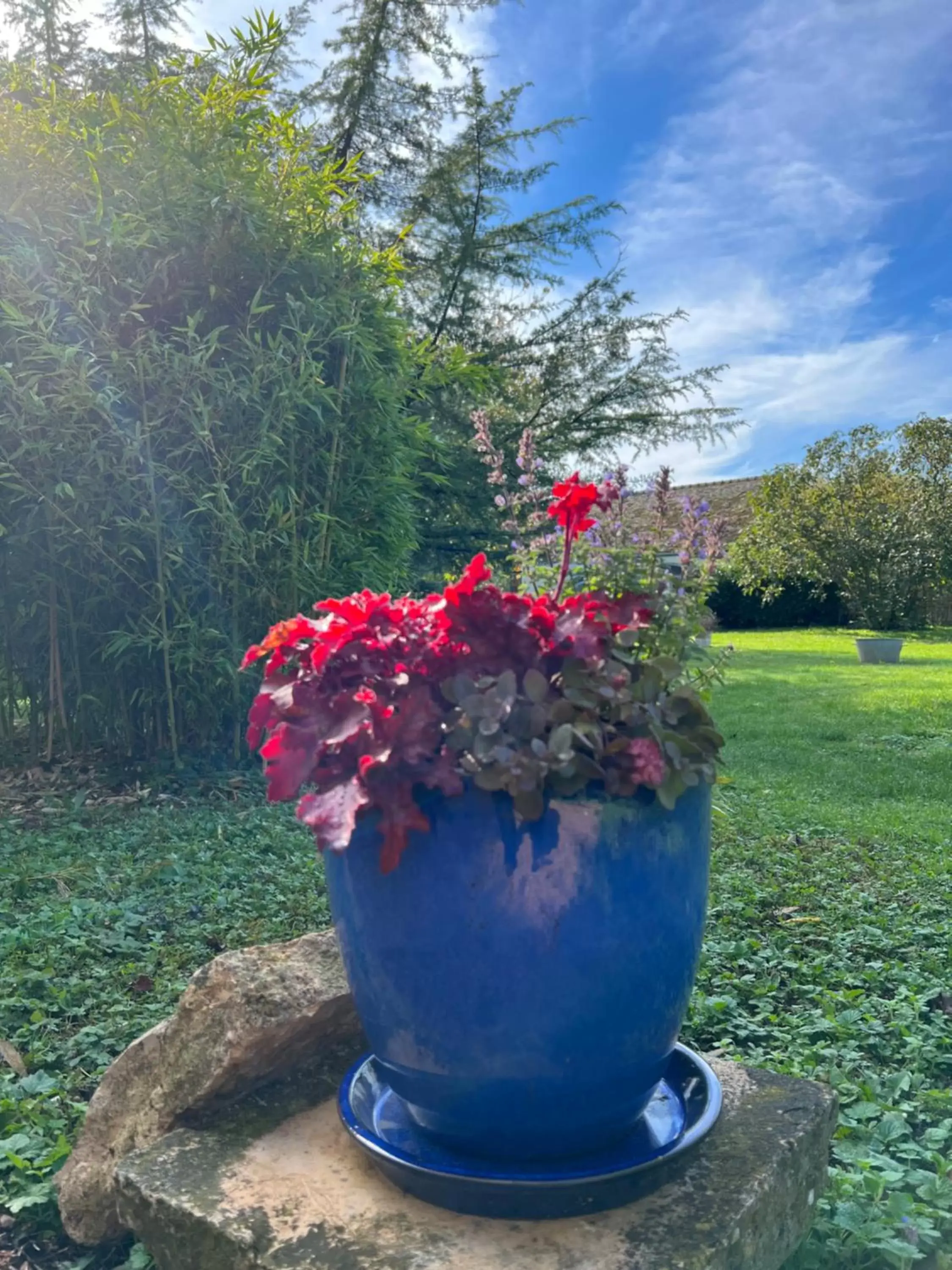 Garden in GSand Le Clos du May