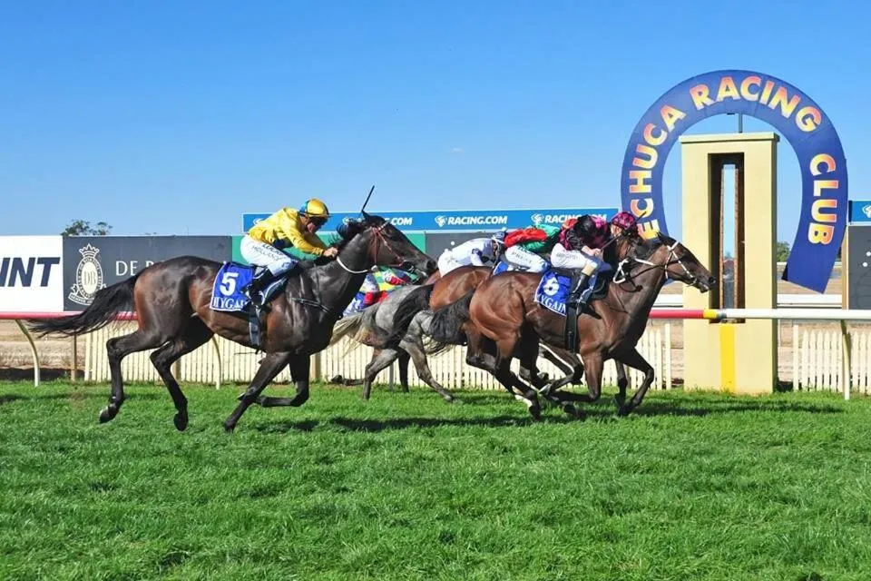 Entertainment in Bridges on Meninya Motel & Apartments