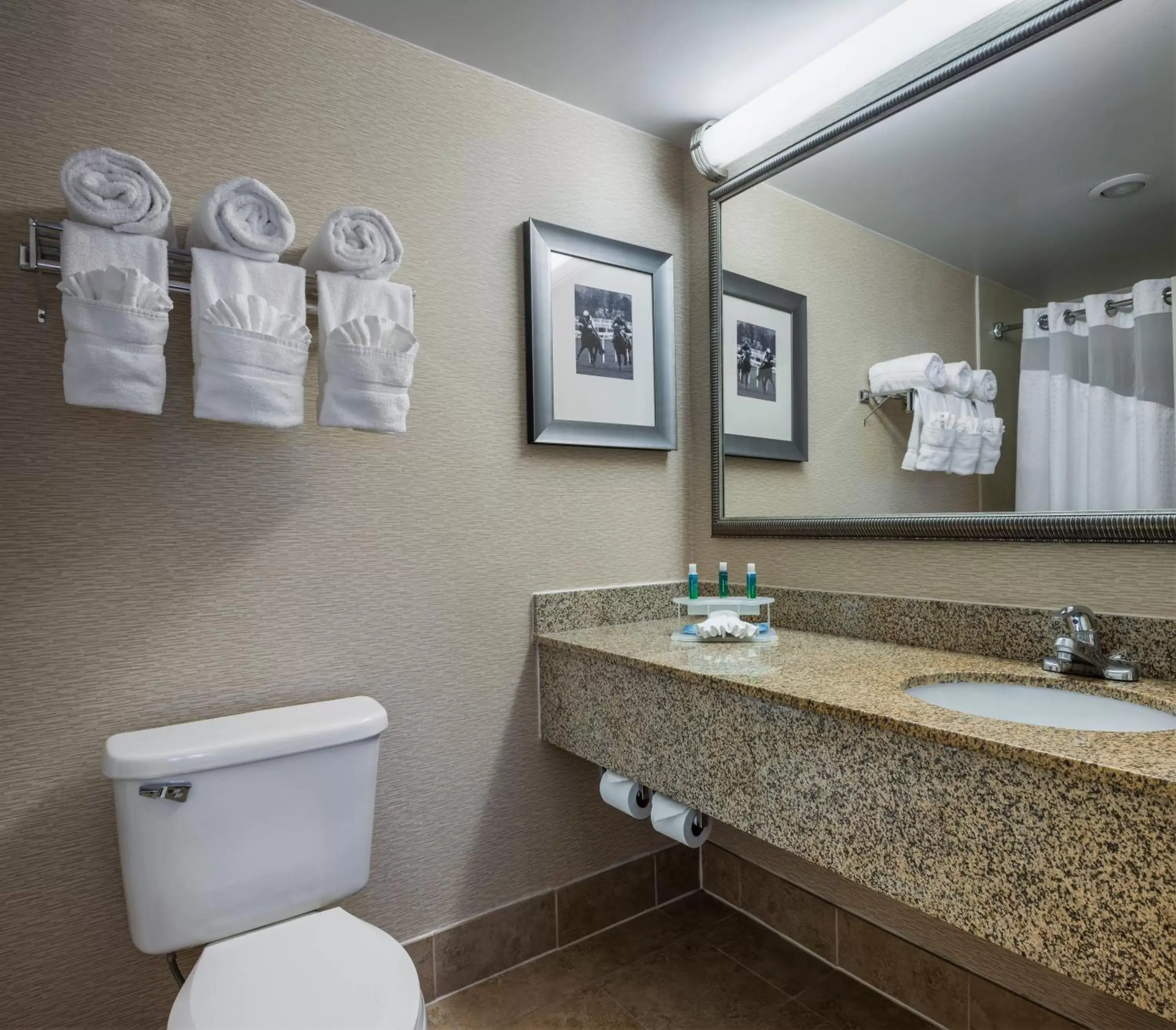 Photo of the whole room, Bathroom in Holiday Inn Express & Suites Laurel Lakes, an IHG Hotel