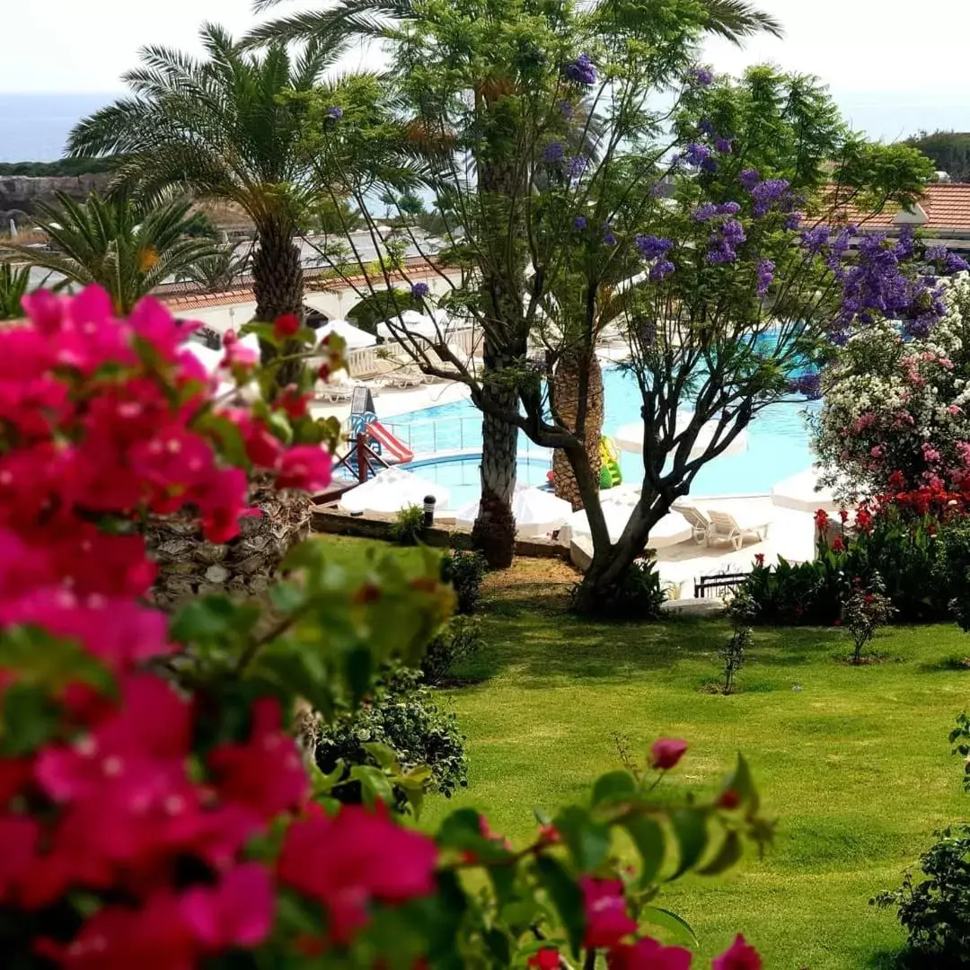 Garden in Denizkizi Hotel