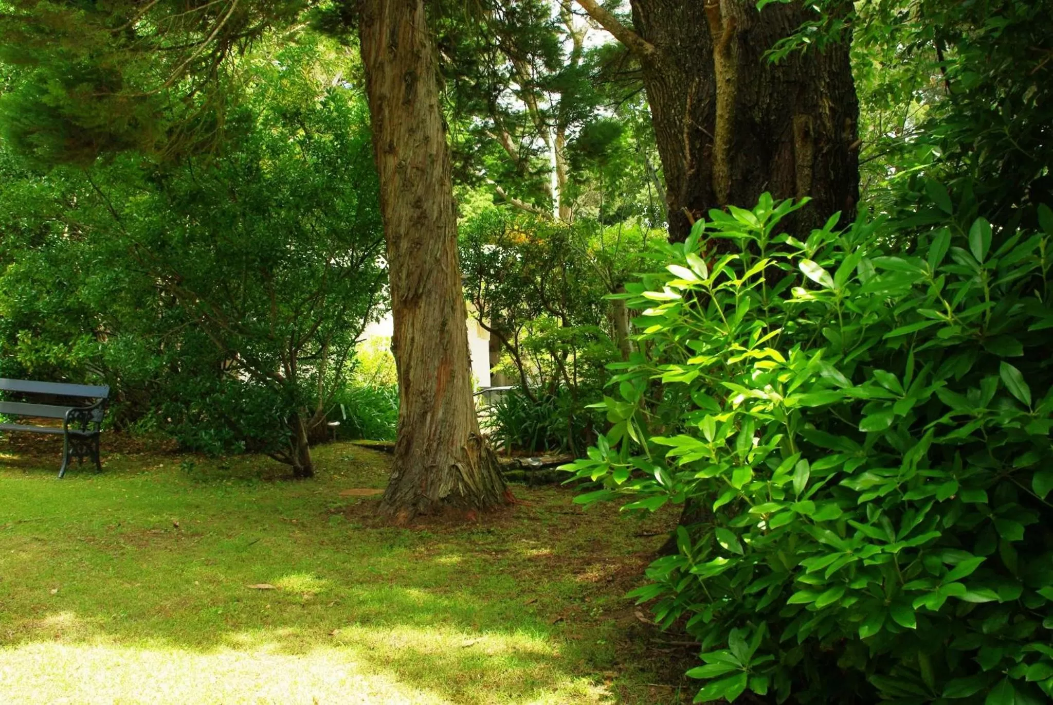 Day in Blackheath Motor Inn