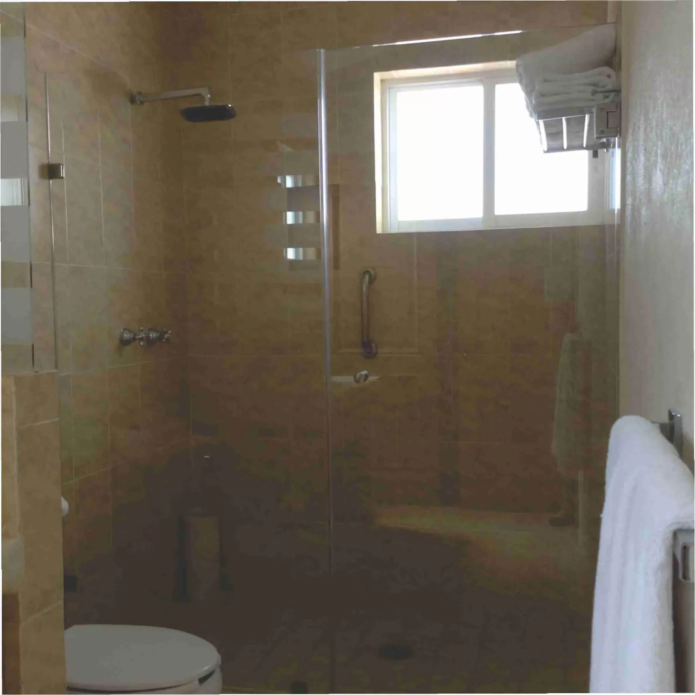 Shower, Bathroom in Hotel Boutique La Granja