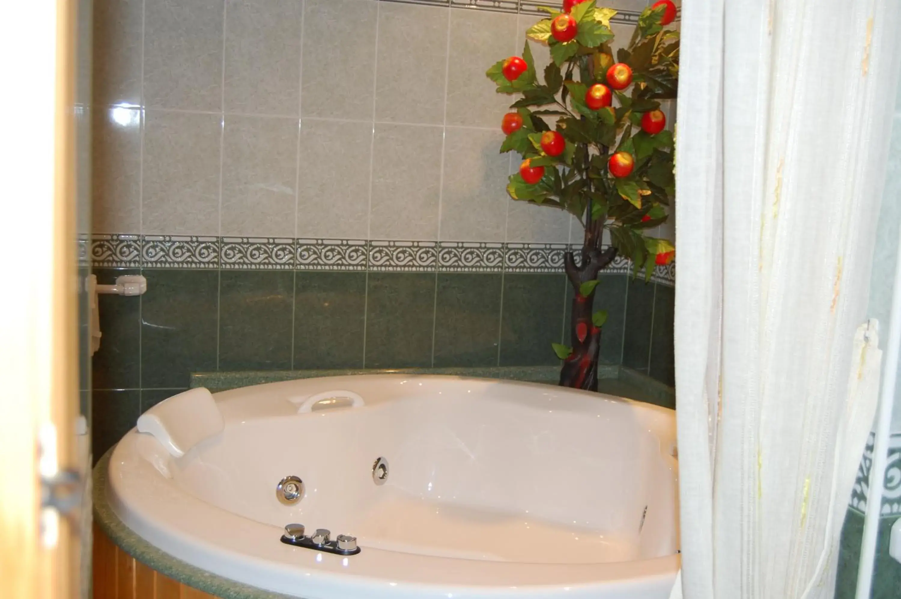 Hot Tub, Bathroom in Hotel Flor de la Mancha