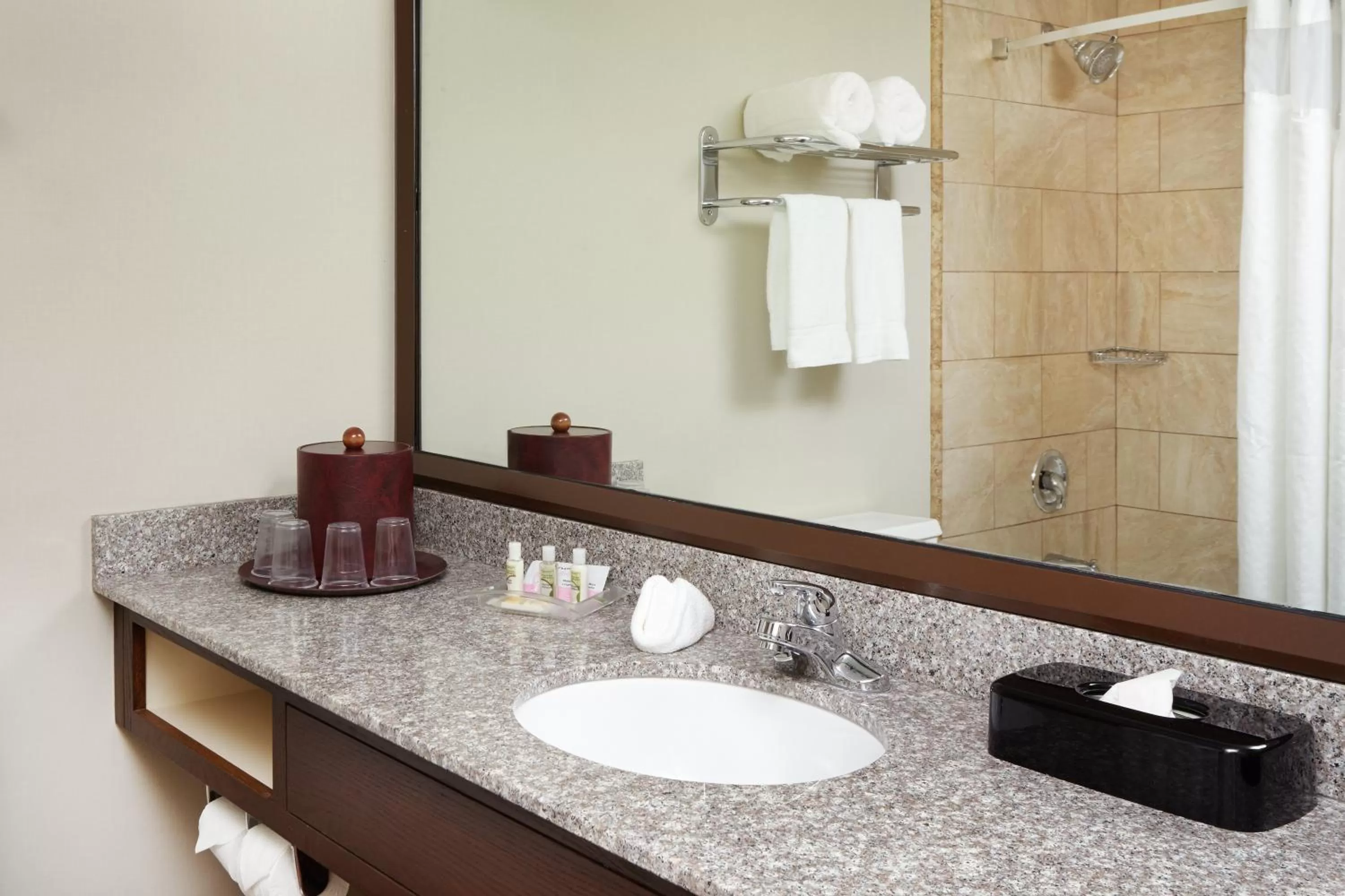 Bathroom in Holiday Inn Chicago Matteson Conference Center by IHG