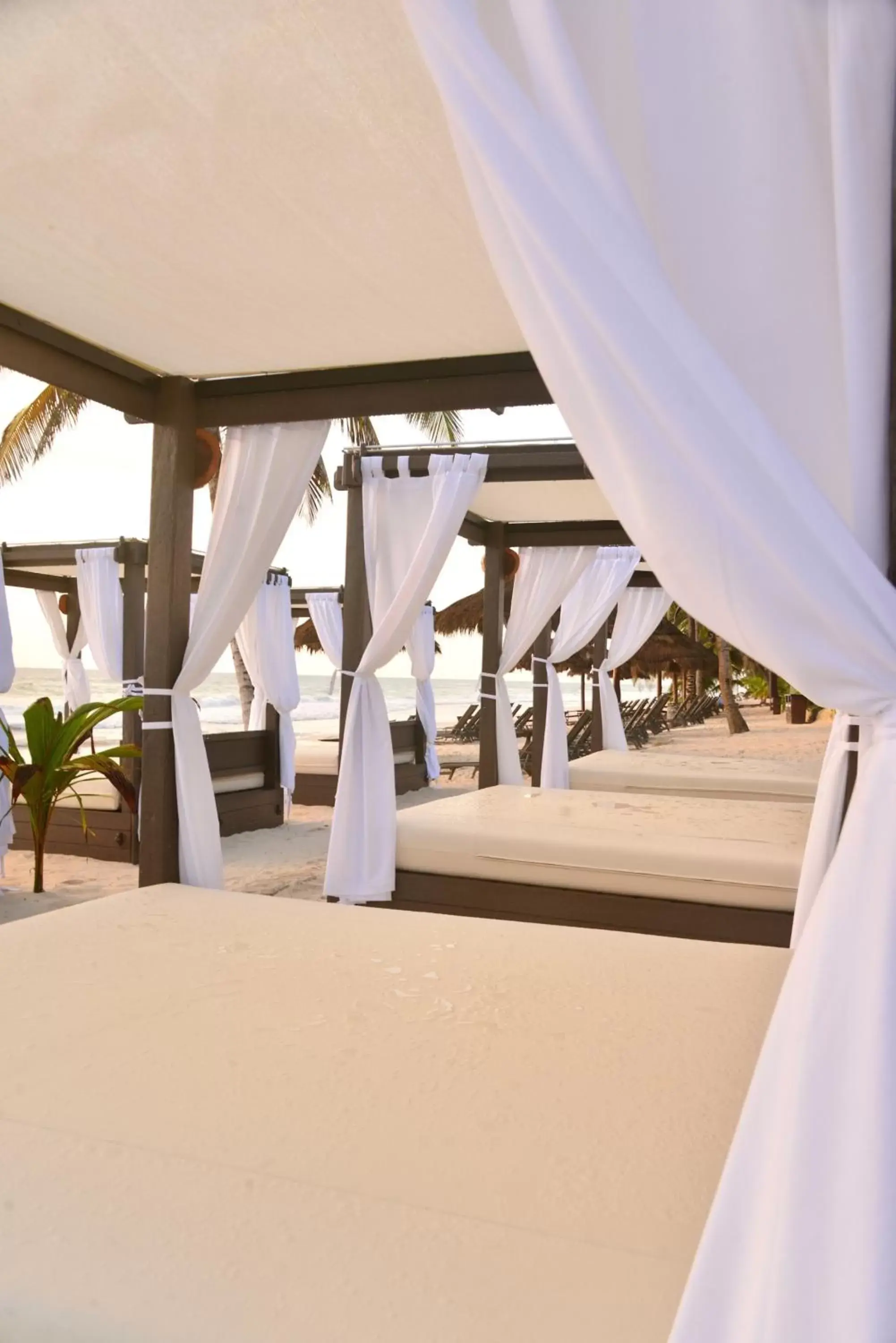 View (from property/room), Banquet Facilities in Ana y Jose Hotel & Spa Tulum - All inclusive