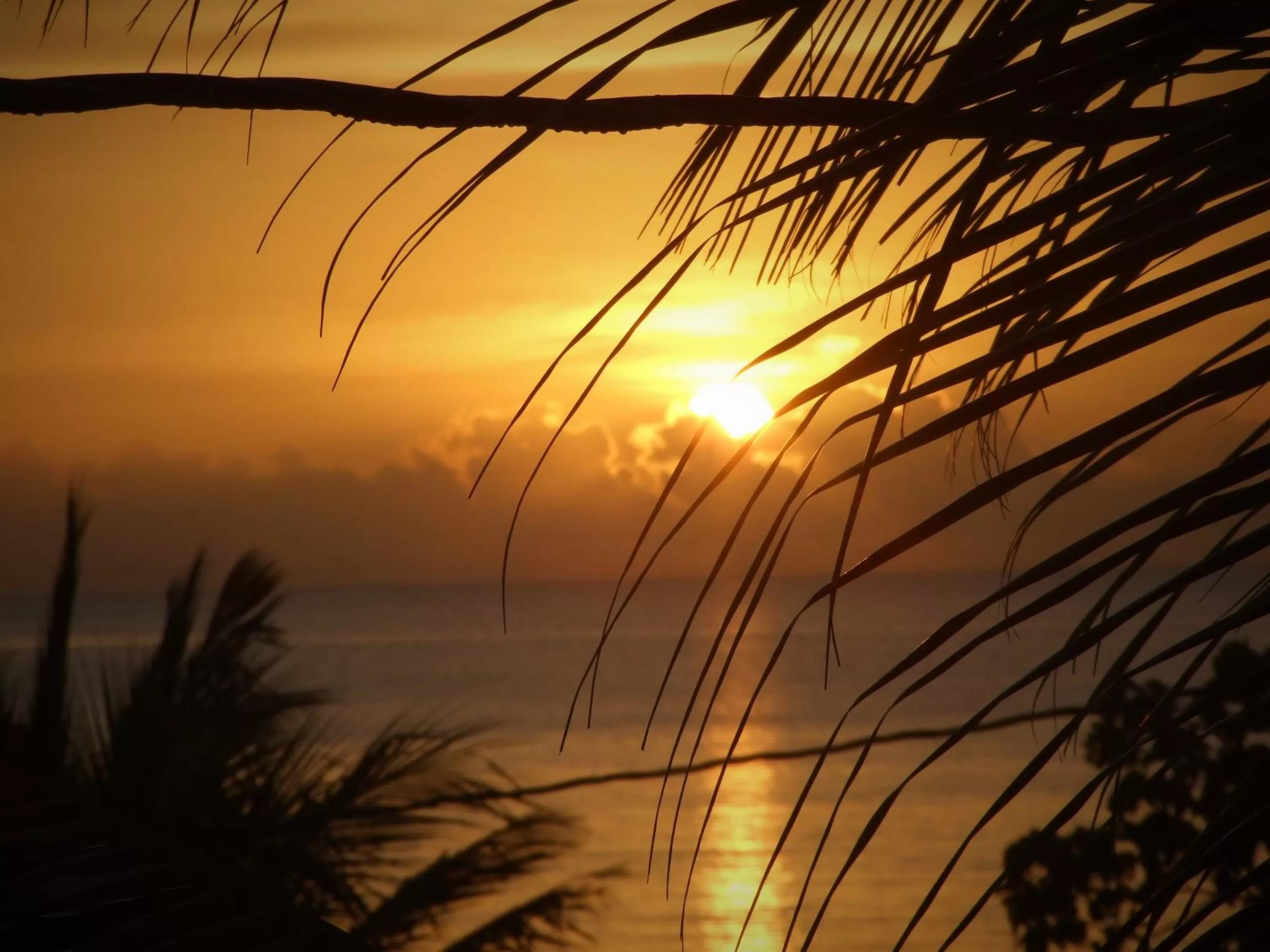 Sea view in BlueBelize B&B