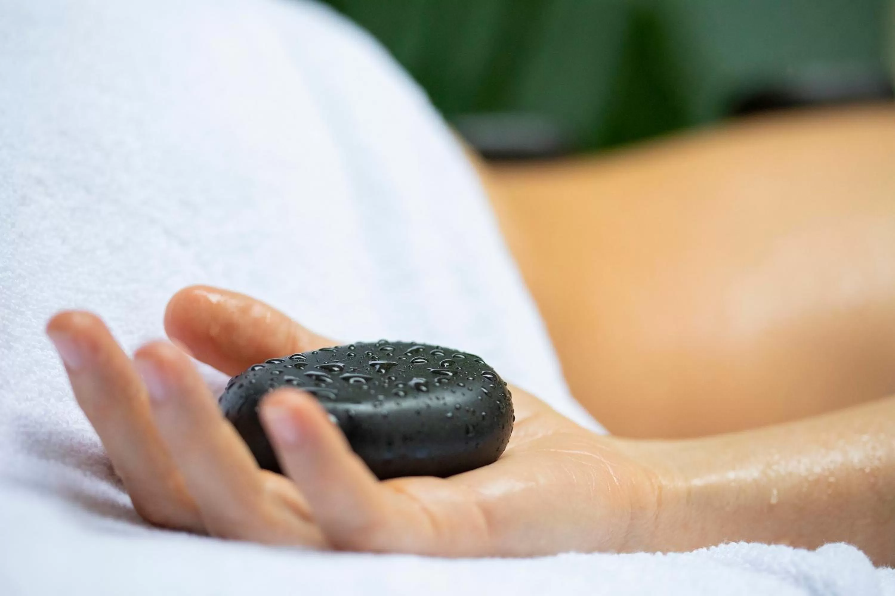 Garden in Pumilio Mountain & Ocean Hotel