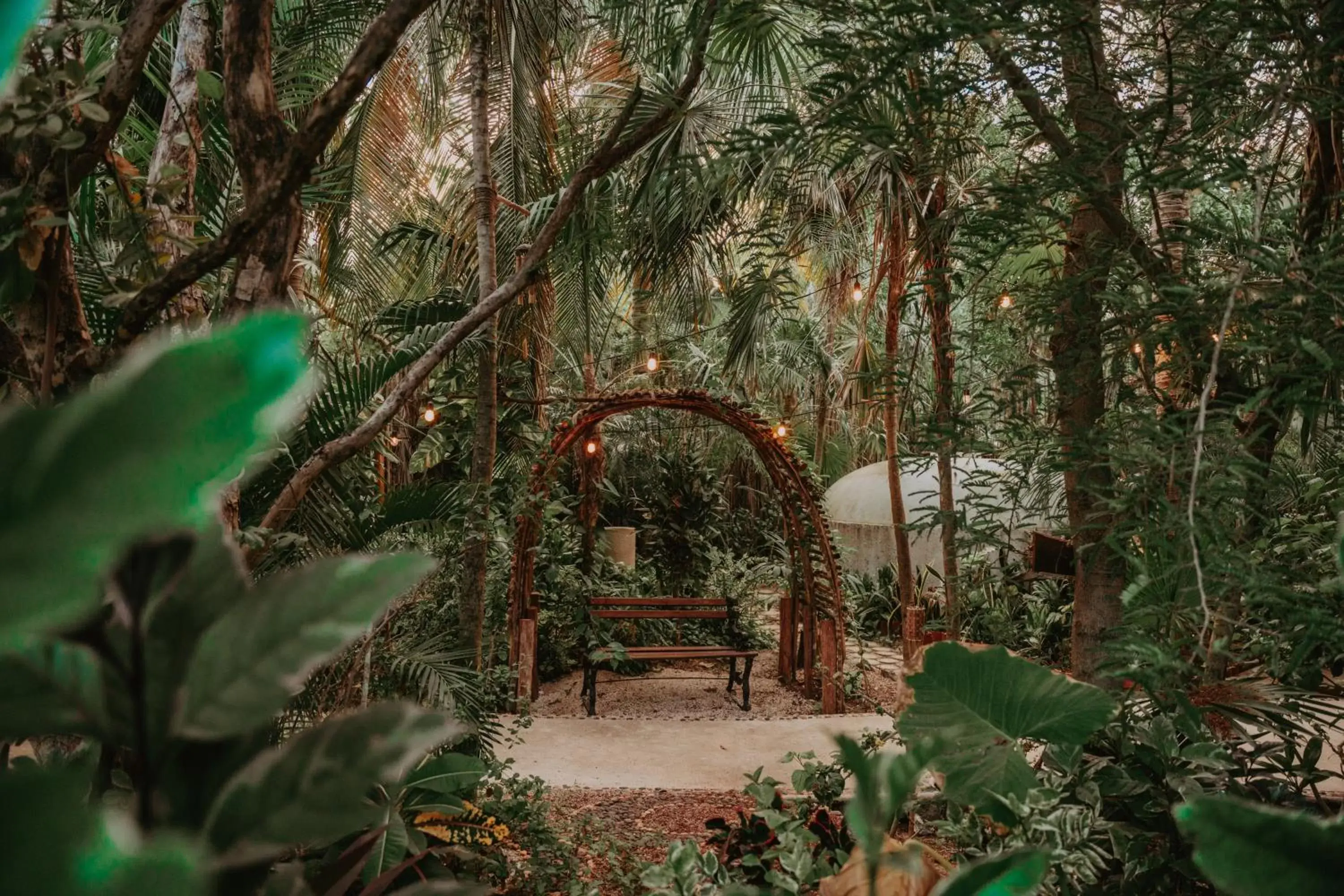 Garden in Petit Lafitte Beach Front Hotel & Bungalows