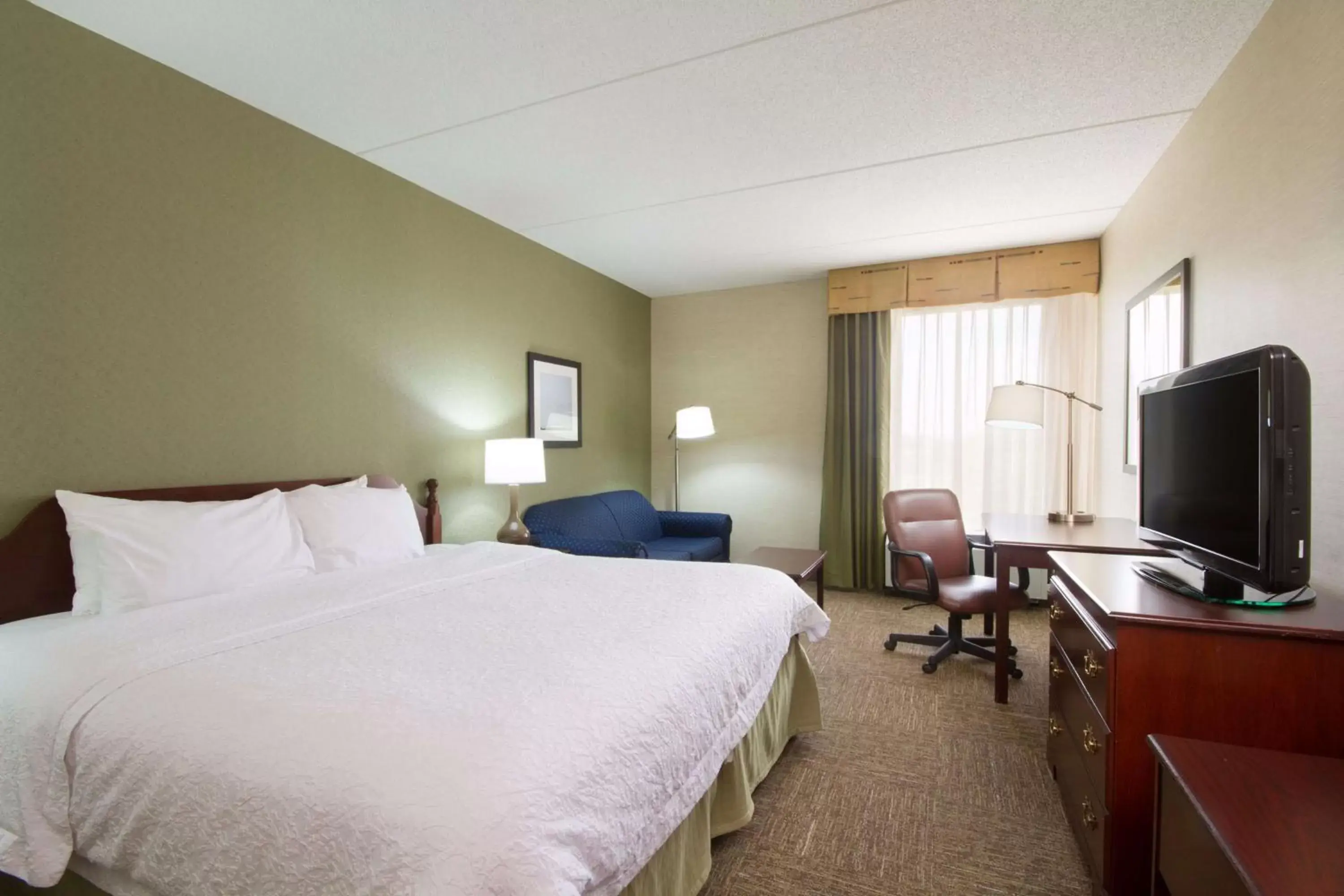 Bedroom, TV/Entertainment Center in Hampton Inn Buffalo-South/I-90