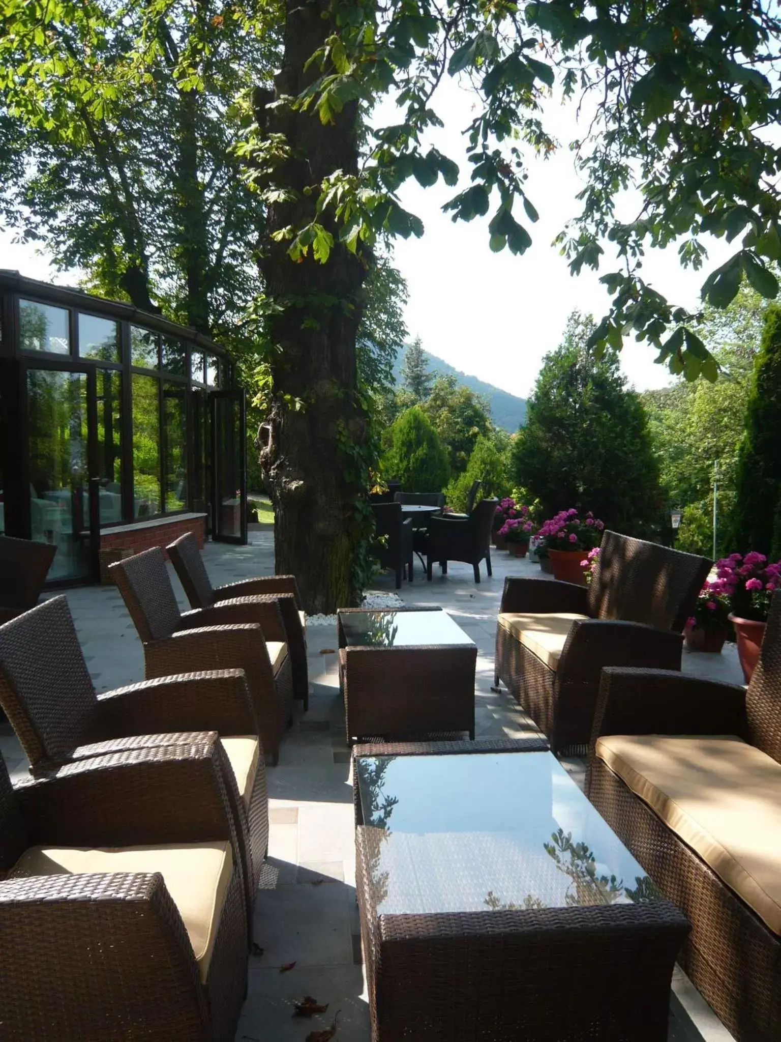 Patio, Restaurant/Places to Eat in Hotel Bobbio