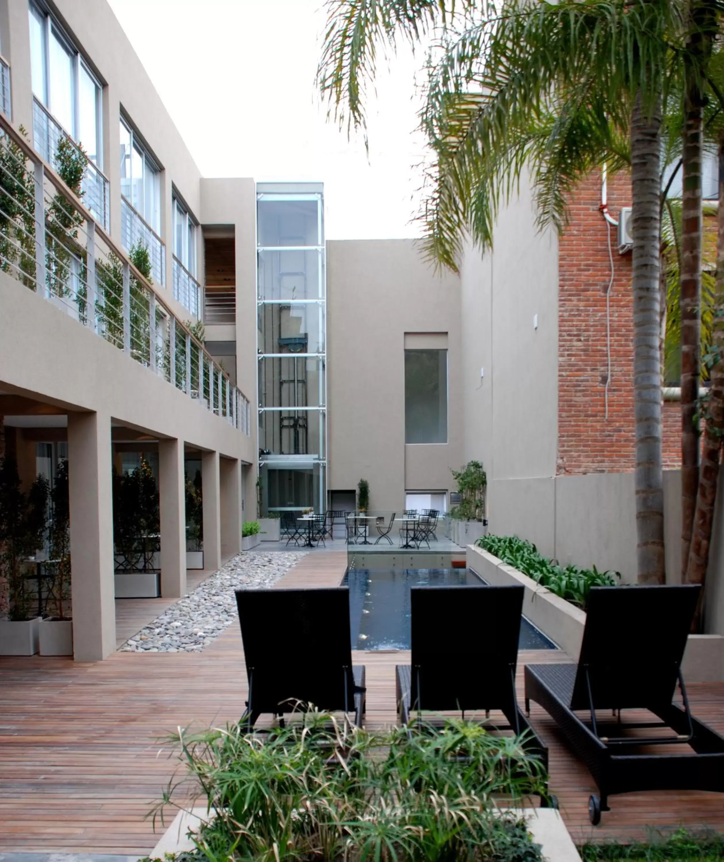 Garden in San Isidro Plaza Hotel