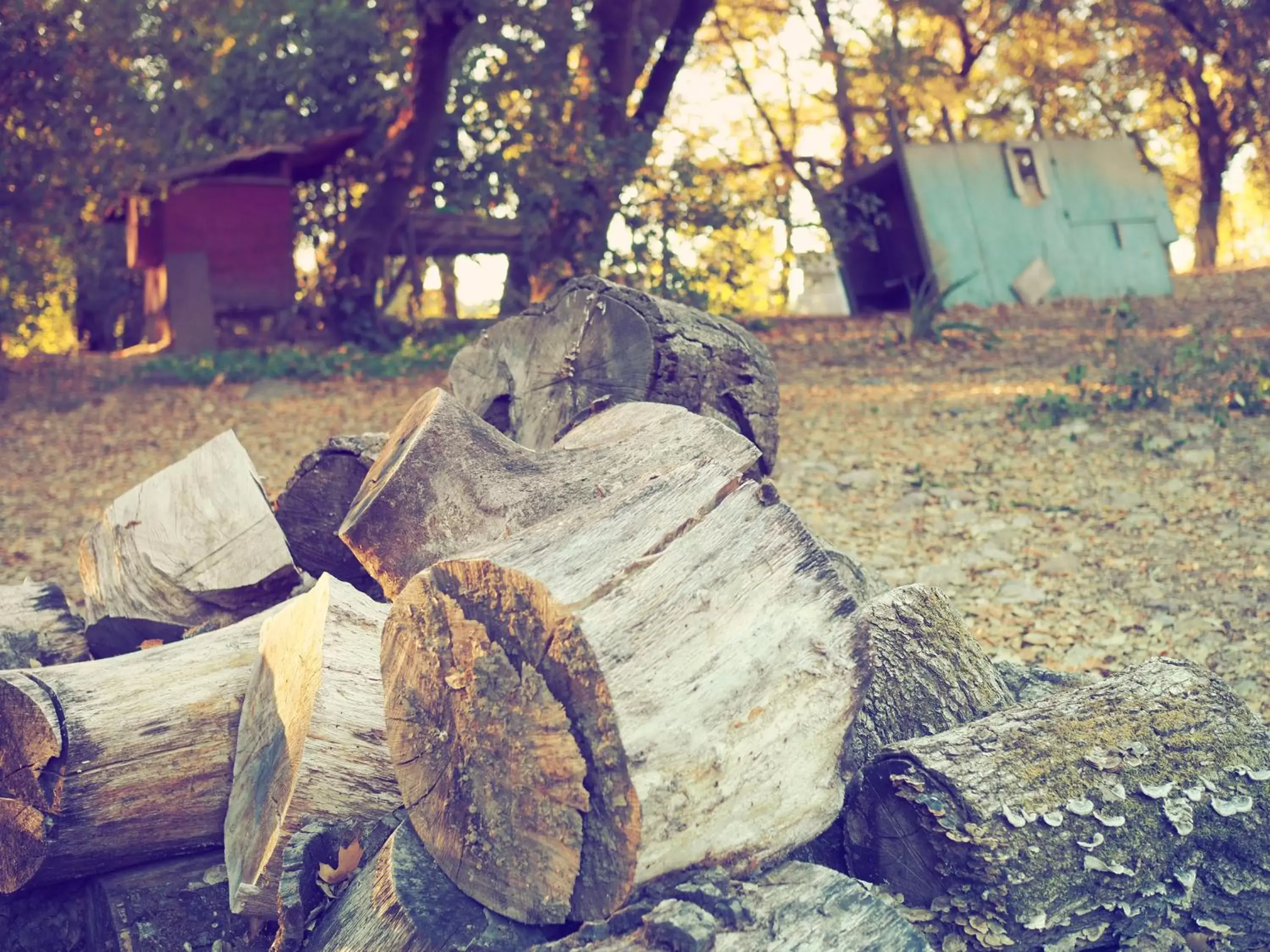 Natural landscape in Mine and Farm, The Inn at Guerneville, CA