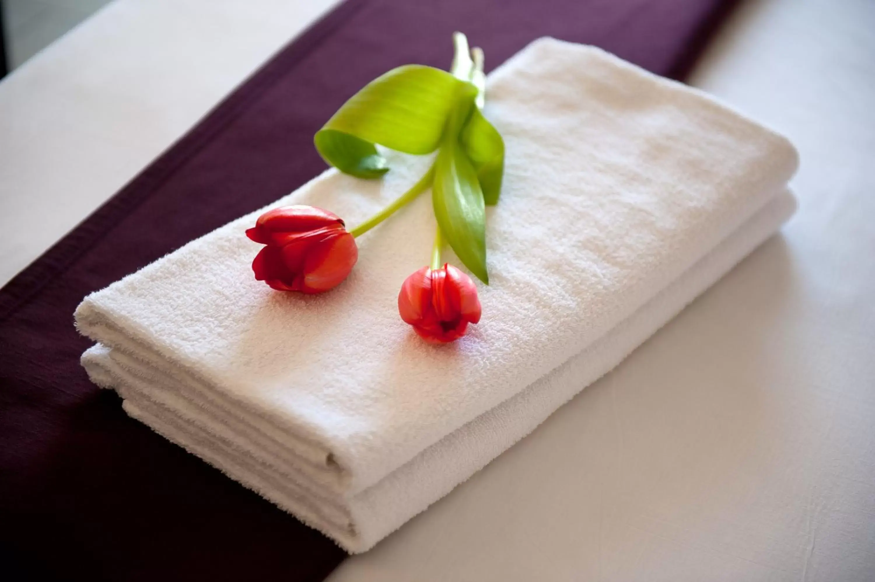 Superior Double or Twin Room - single occupancy in Leonardo Royal Resort Eilat Superior Double or Twin Room - single occupancy in Leonardo Royal Resort Eilat