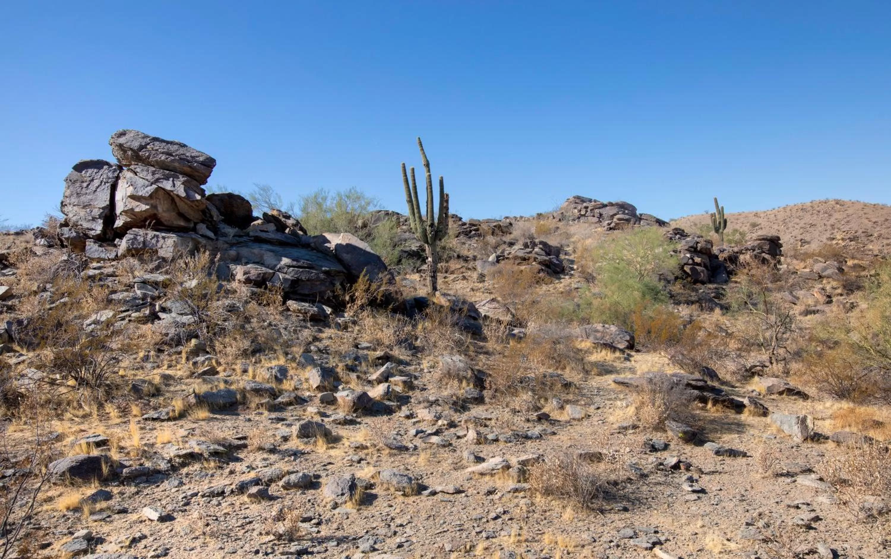 Other in Raintree at Phoenix South Mountain Preserve