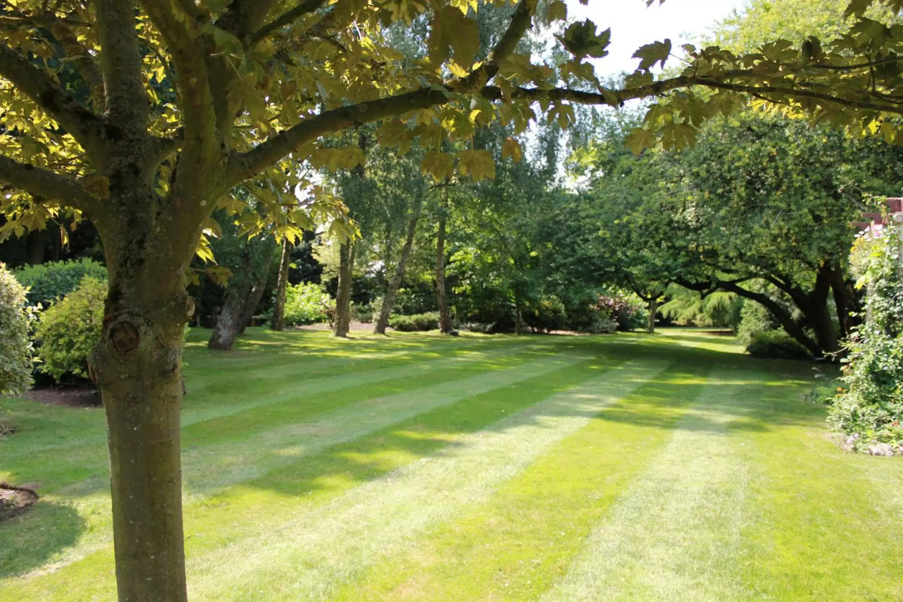 Garden in Old Rectory Hotel, Crostwick