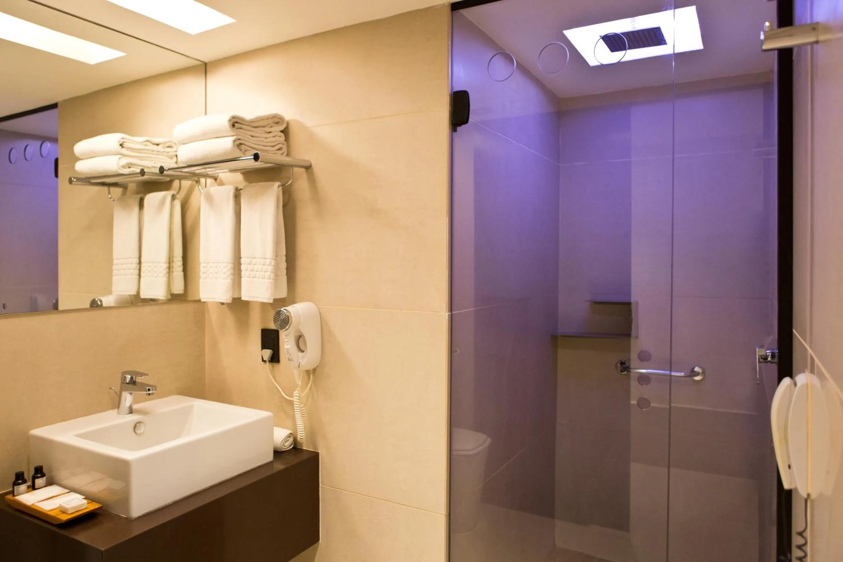 Bathroom in Ritz Leblon