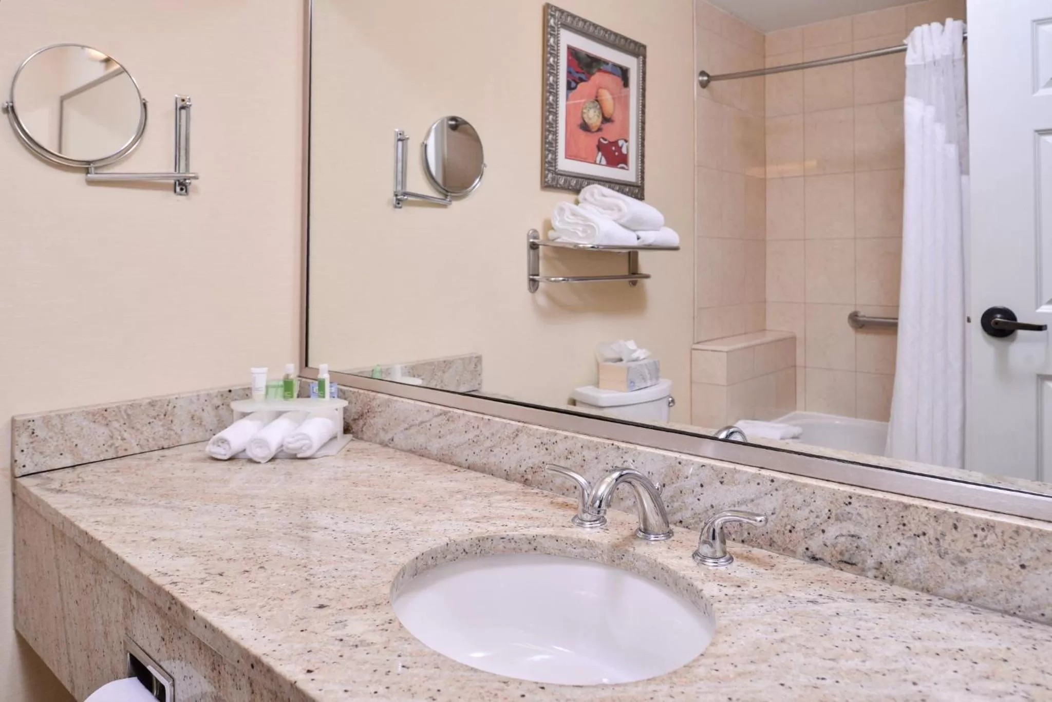 Photo of the whole room in Holiday Inn Express Tampa North Telecom Park by IHG