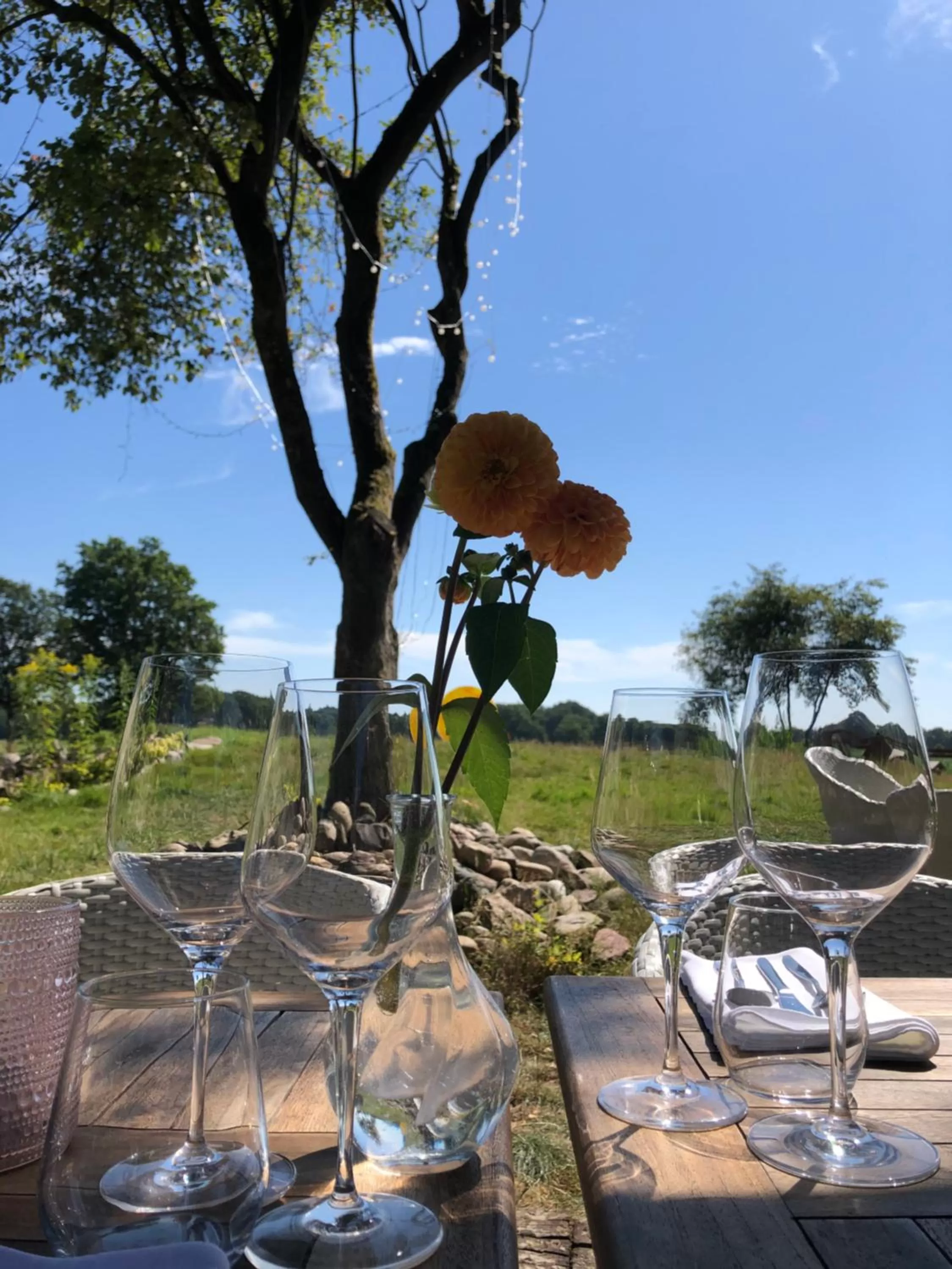 Restaurant/Places to Eat in Villa BlauwHemel Diever