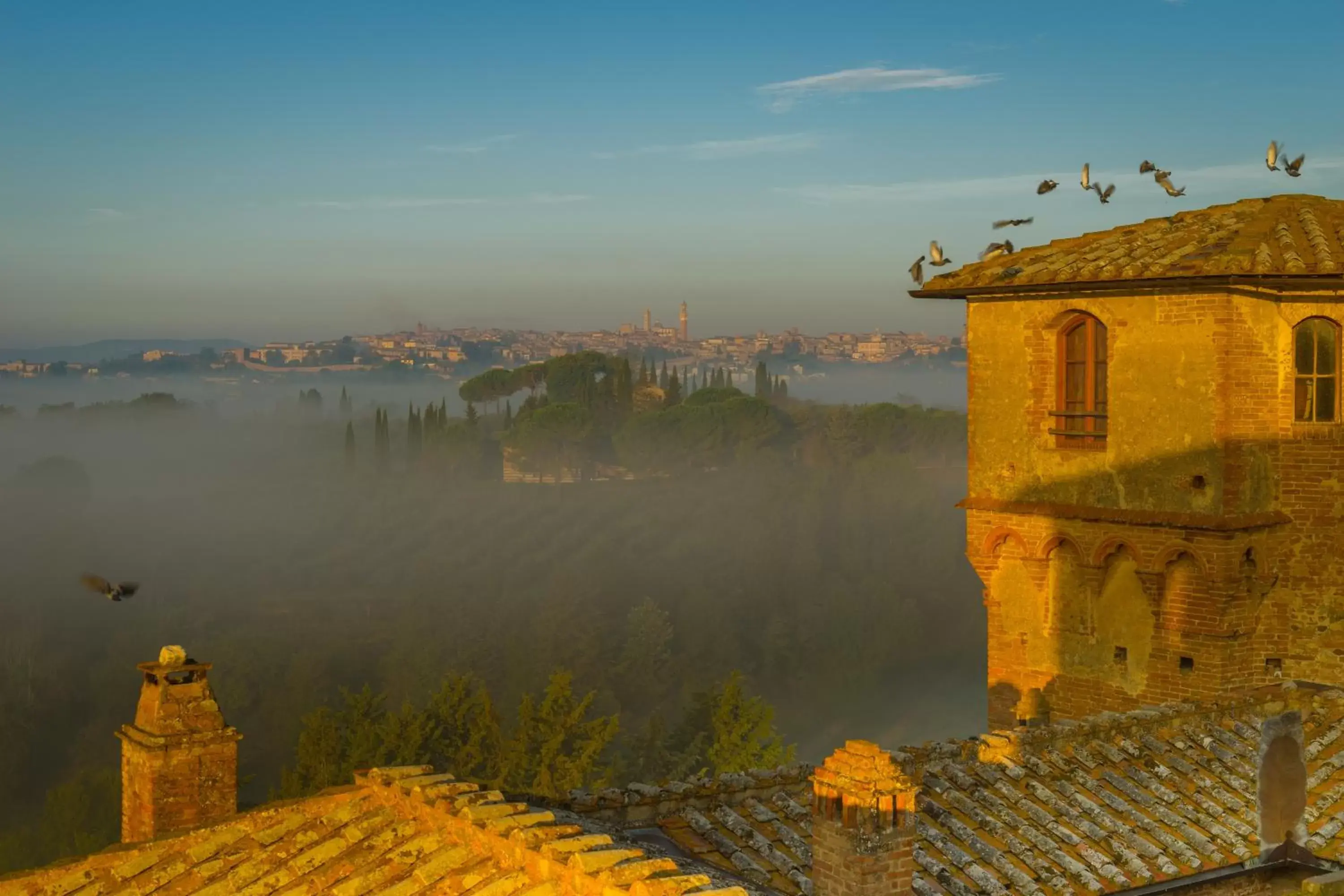 City view in Castello Delle Quattro Torra