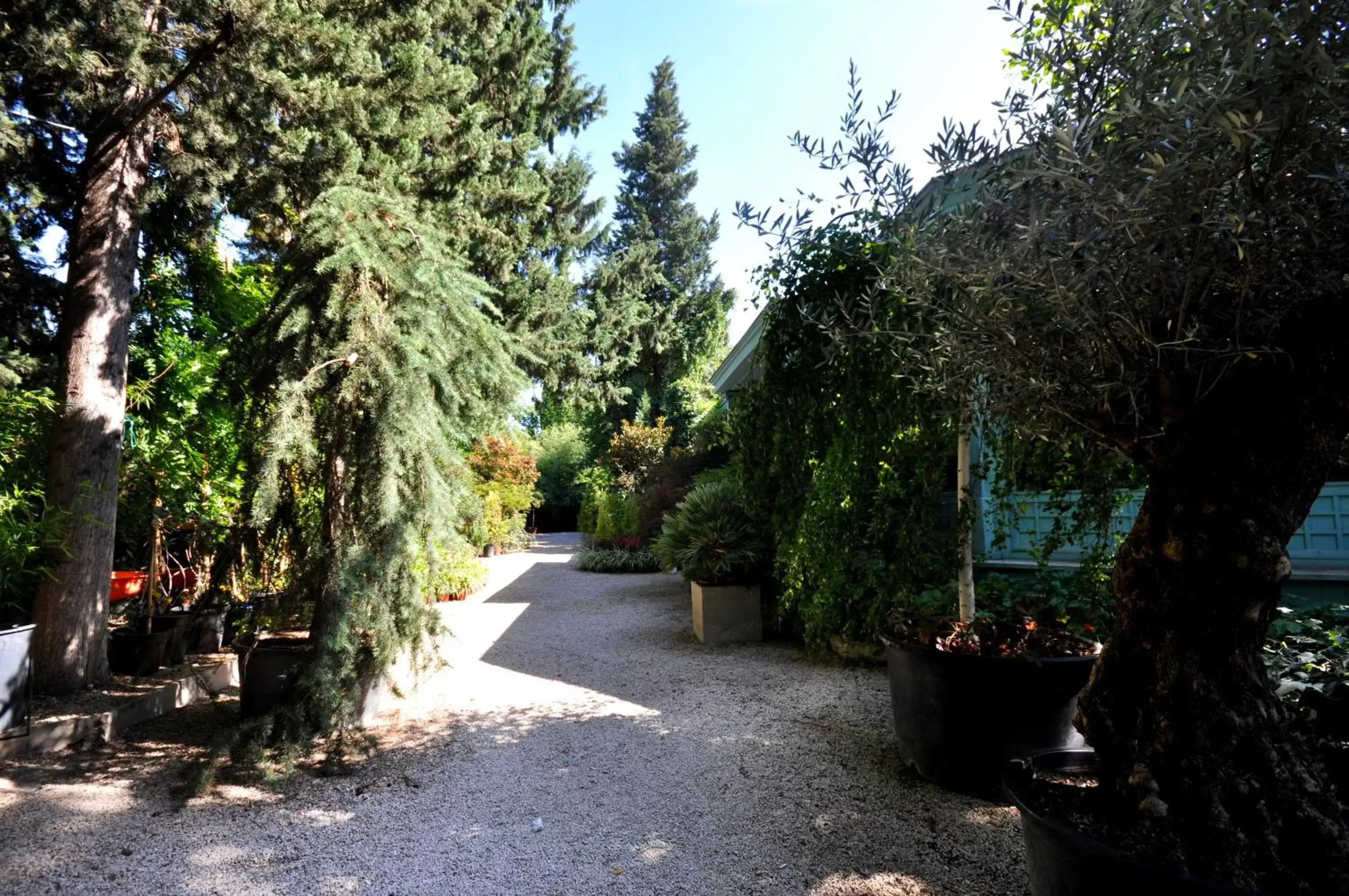 Garden in Elle Boutique Hotel