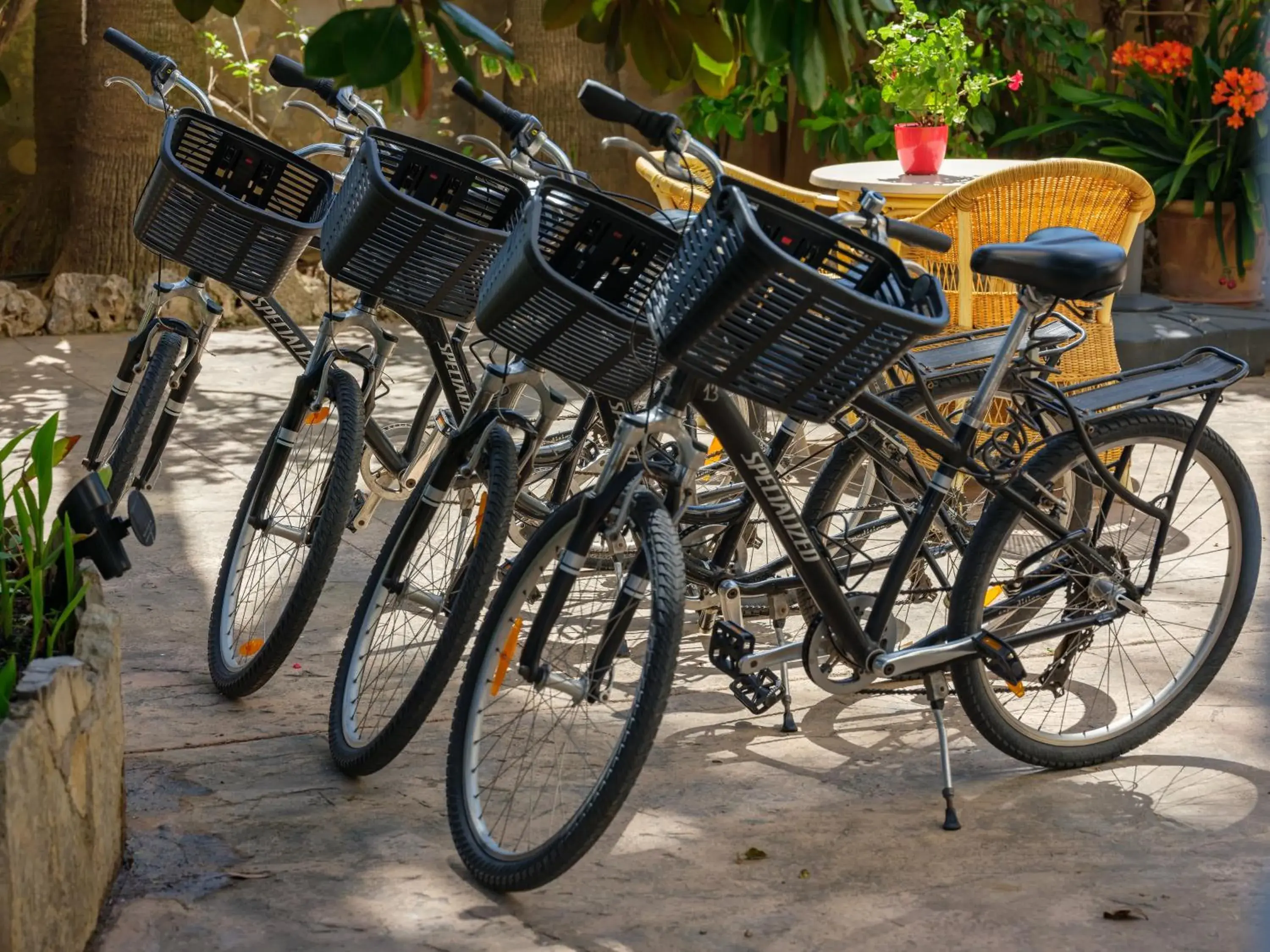 Cycling, Biking in Hotel Ciutat Jardi