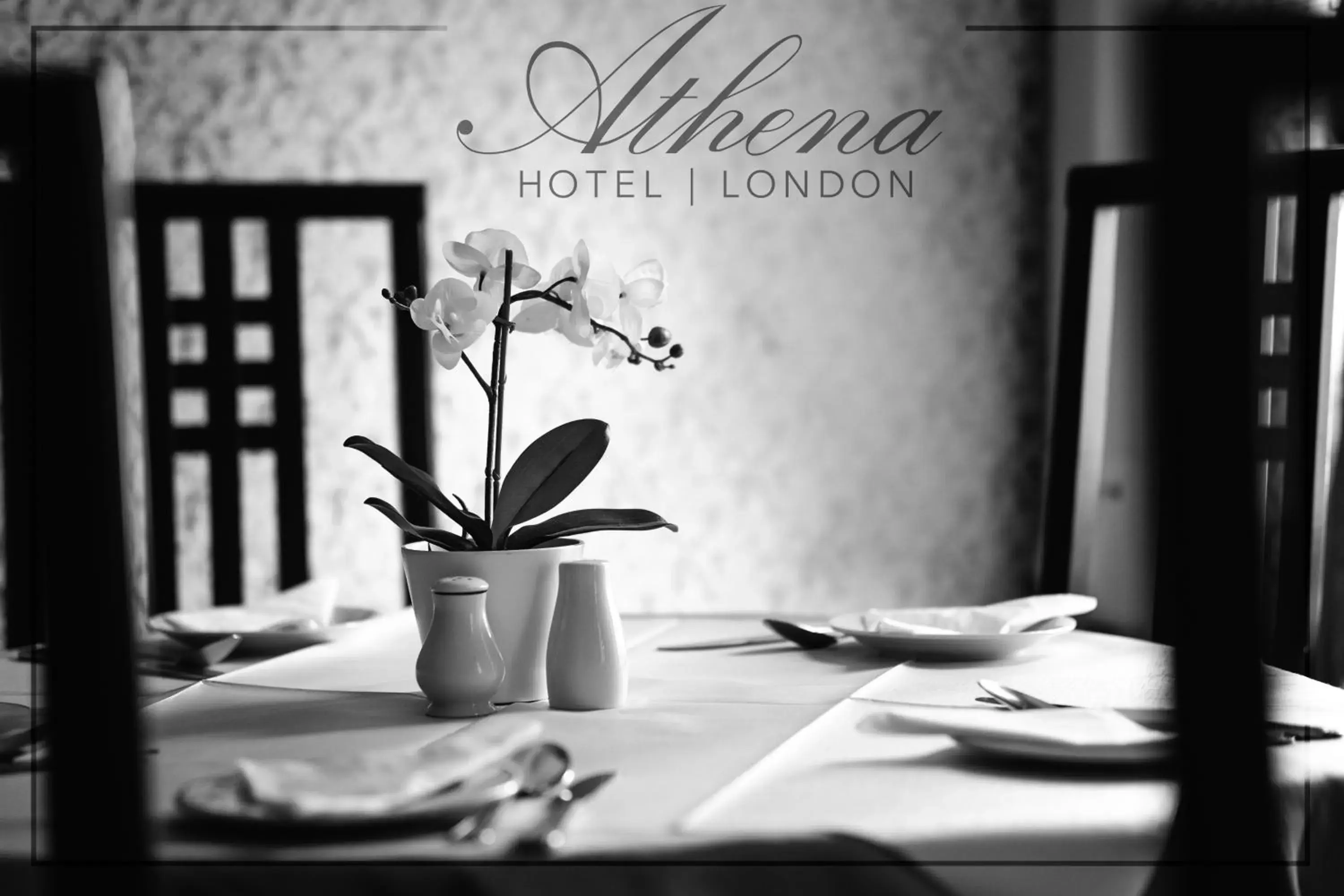 Restaurant/Places to Eat in Athena Hotel