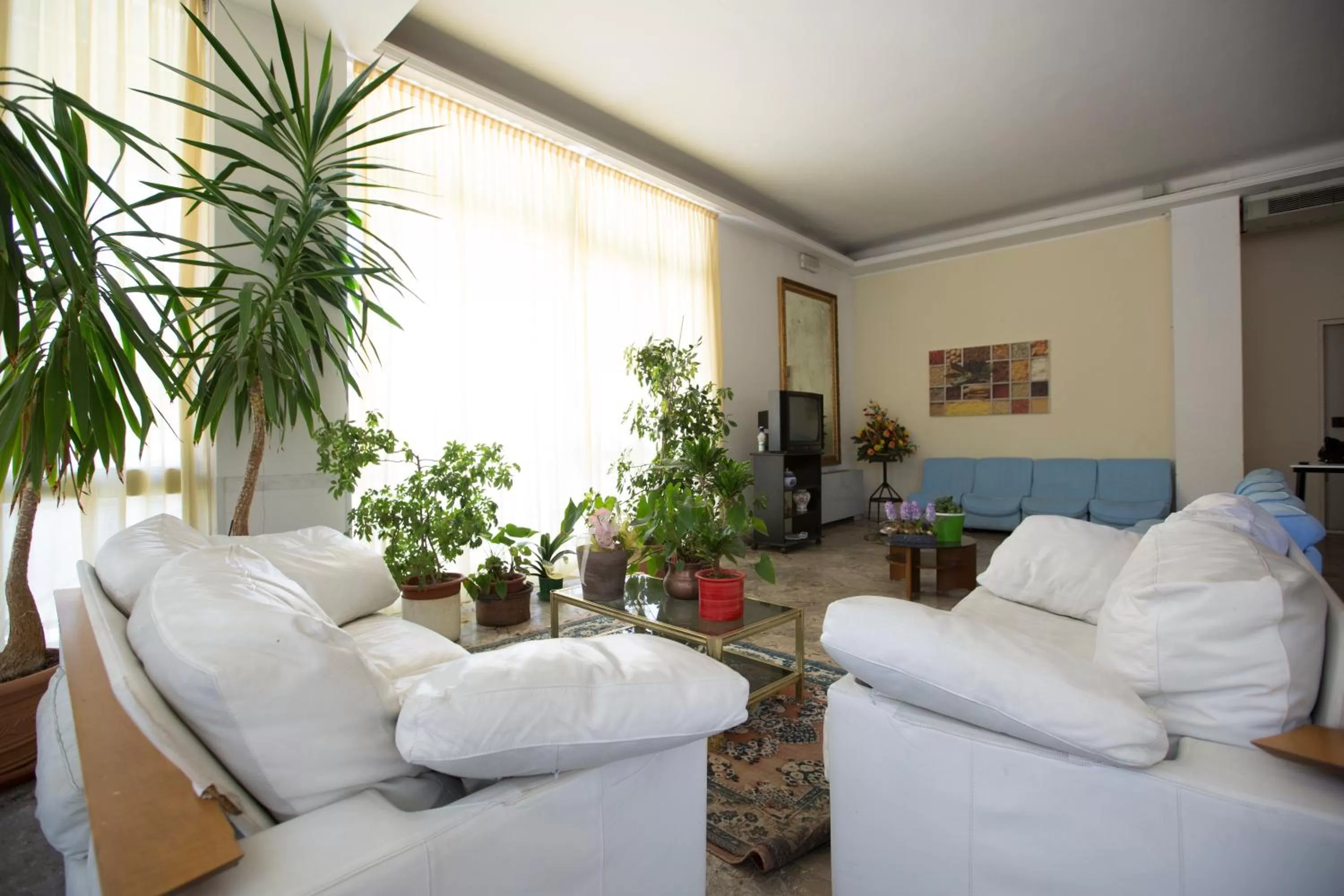 Lobby or reception in Hotel Europa