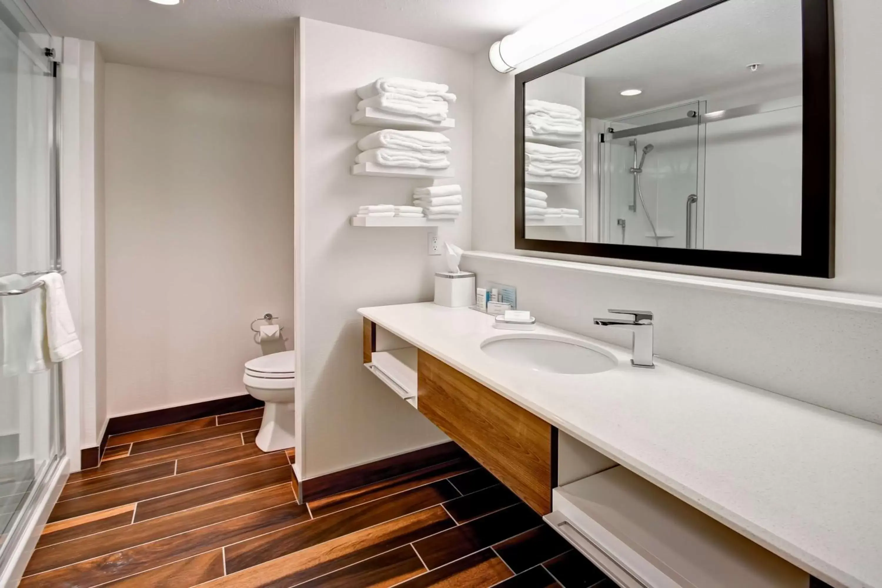 Bathroom in Hampton Inn & Suites - Medicine Hat