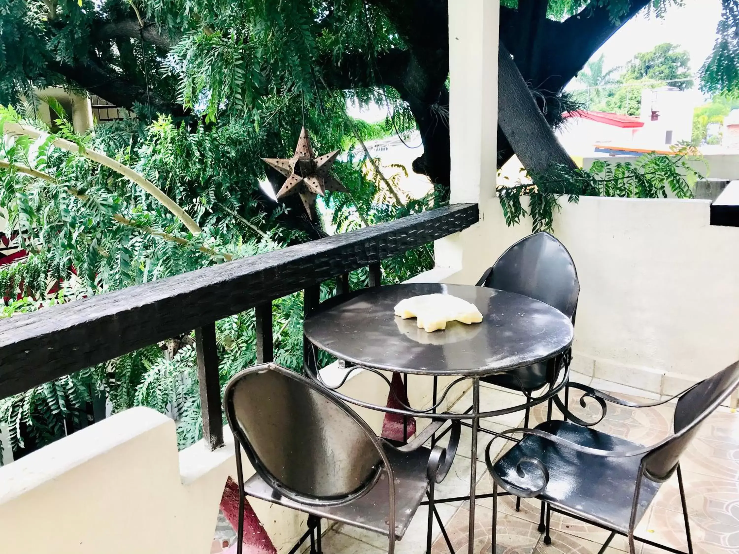 Garden, Balcony/Terrace in Hotel Casa Blanca