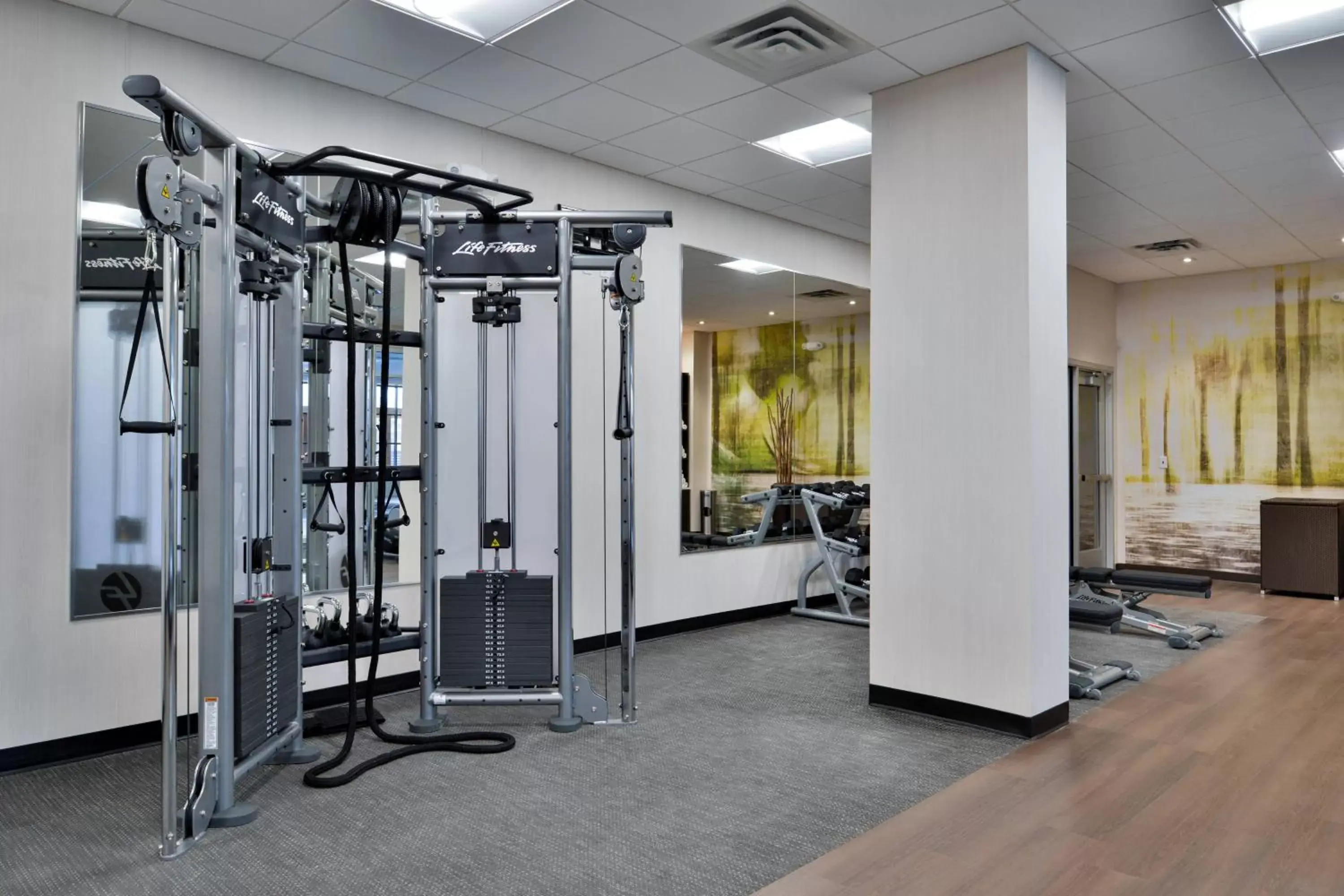 Fitness centre/facilities, Fitness Center/Facilities in Courtyard by Marriott Edina Bloomington