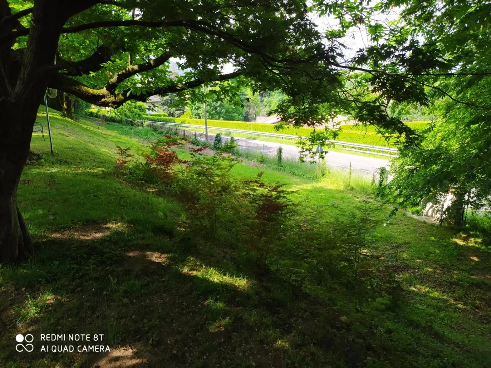 Natural landscape in "La Selvetta" bed and breakfast