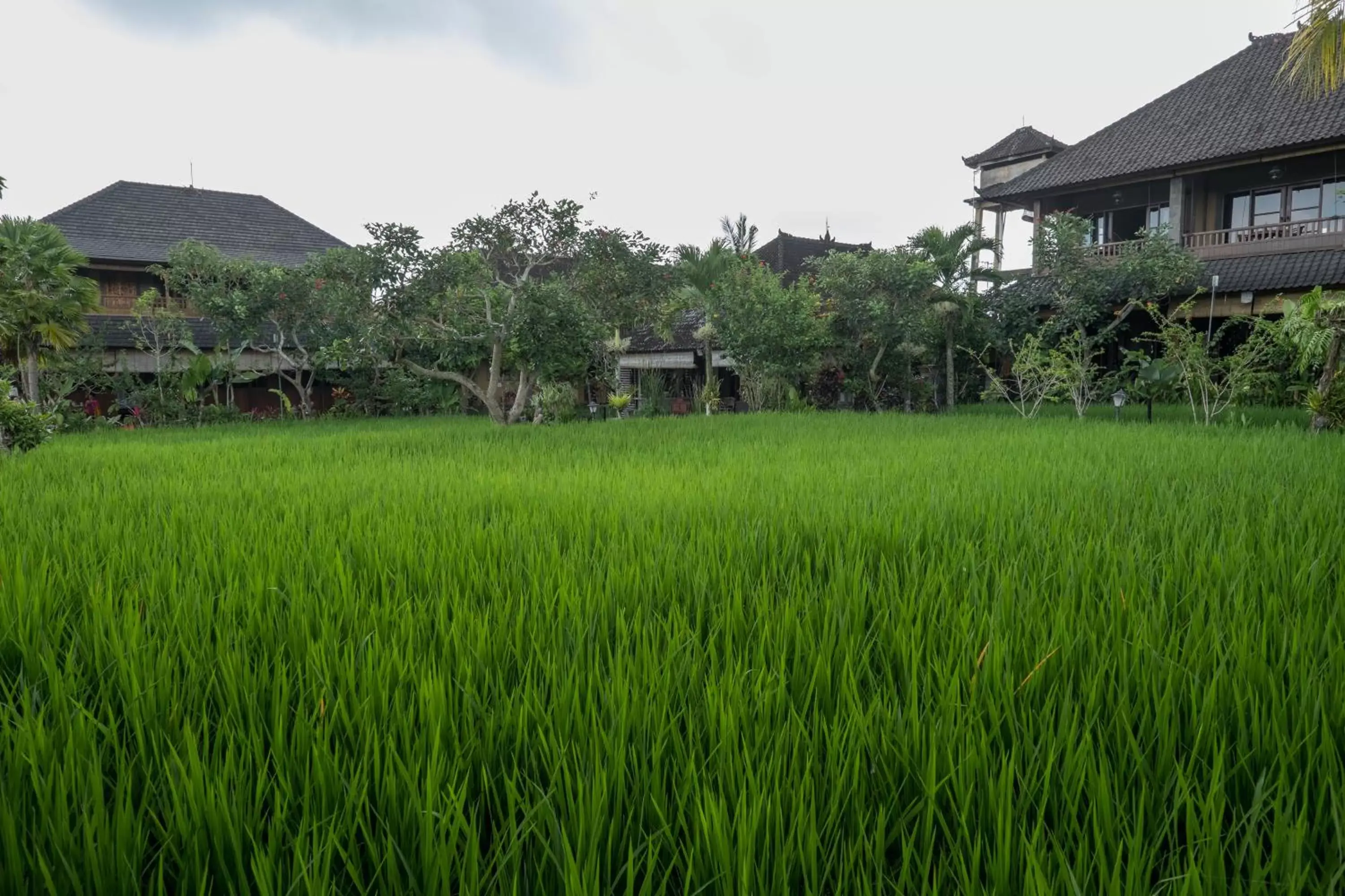 Garden in Bliss Ubud Spa Resort