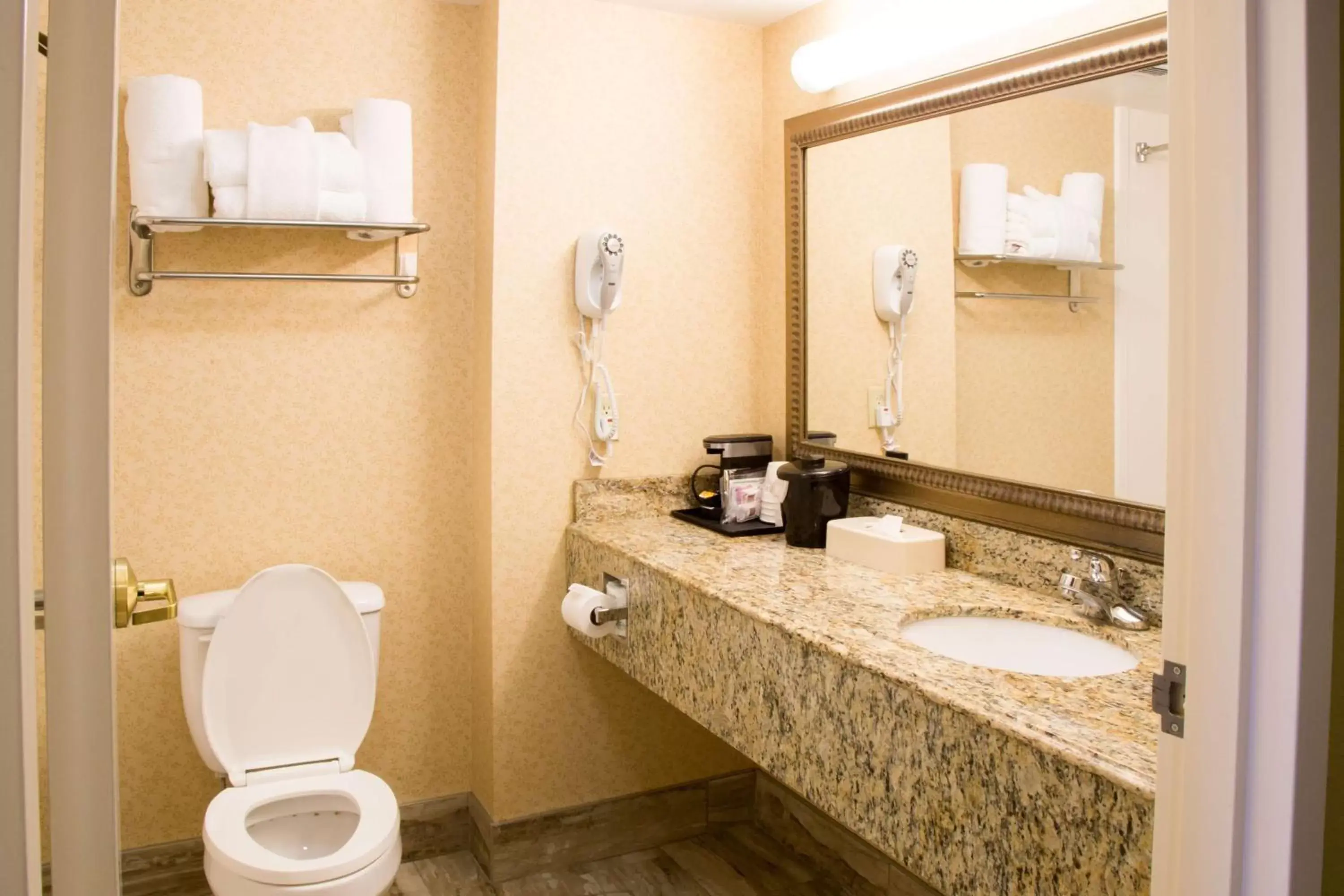 Photo of the whole room, Bathroom in Best Western Executive Inn & Suites