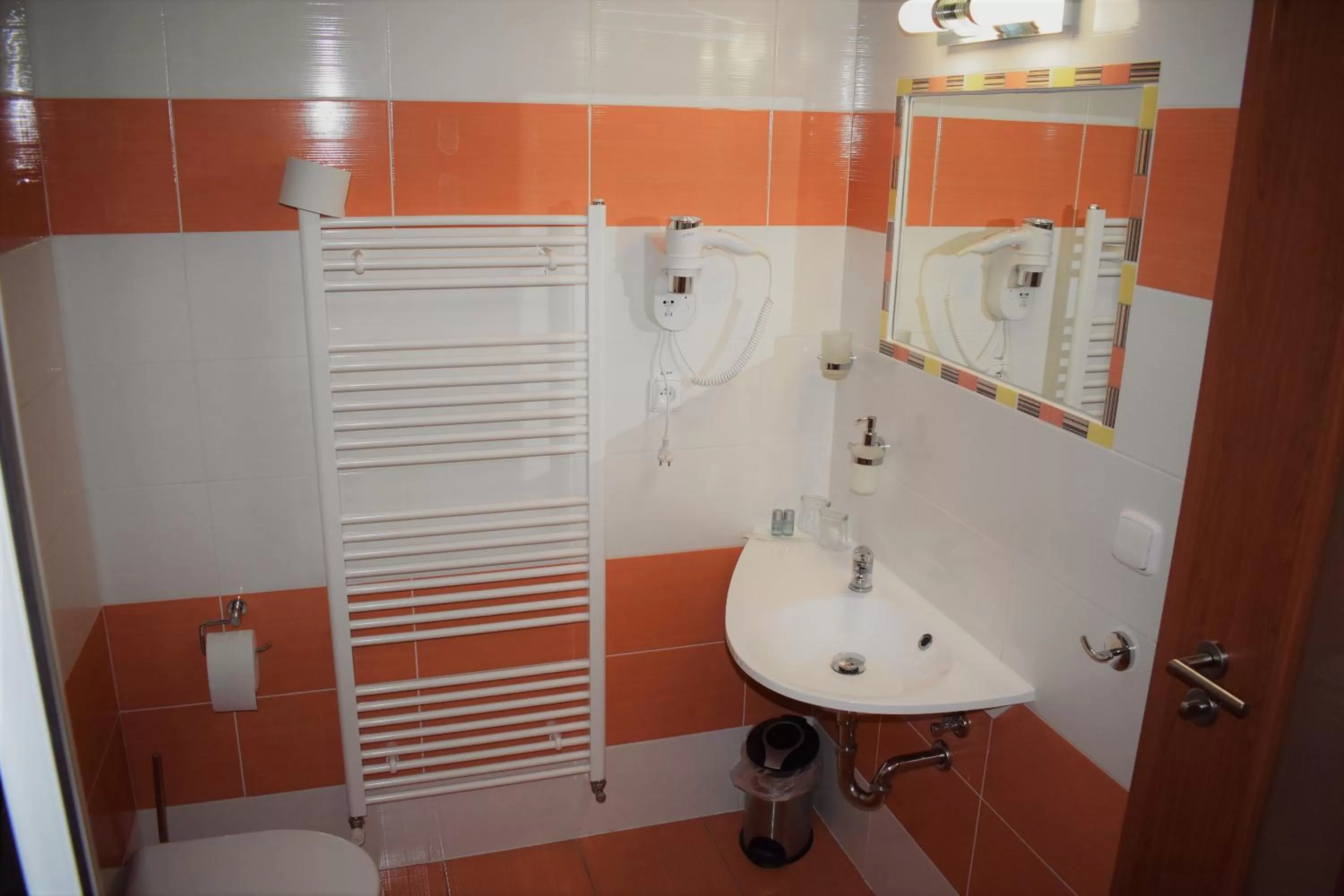 Bathroom in Motel Roubenka