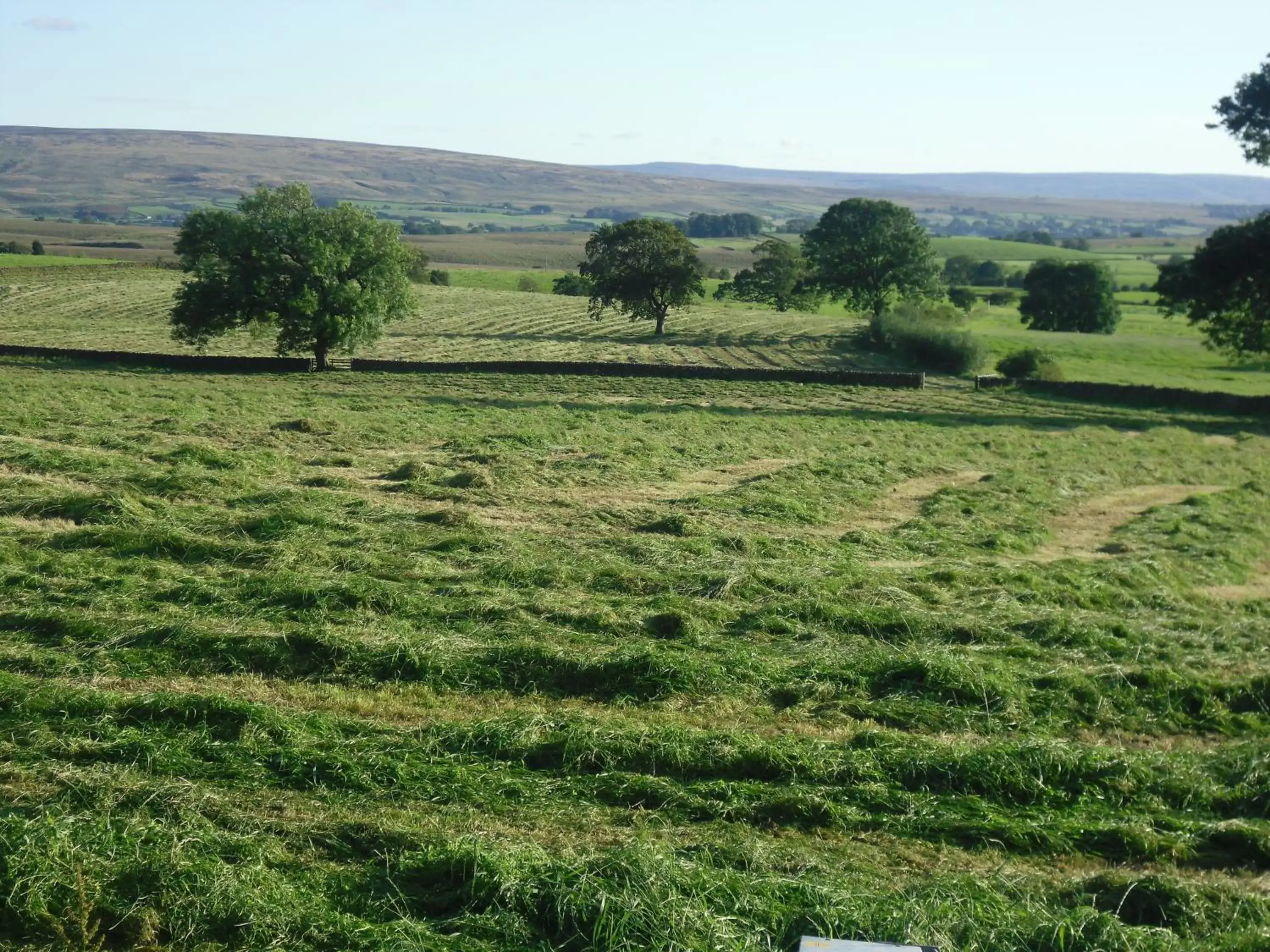 Natural Landscape in Moor View