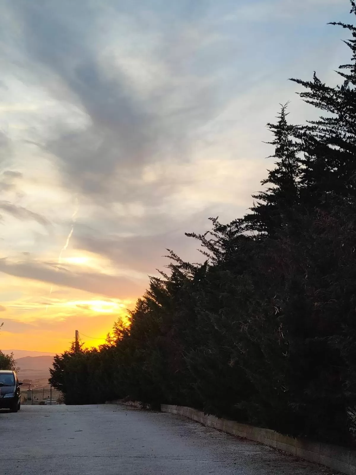 Natural landscape in Villa Vittoria