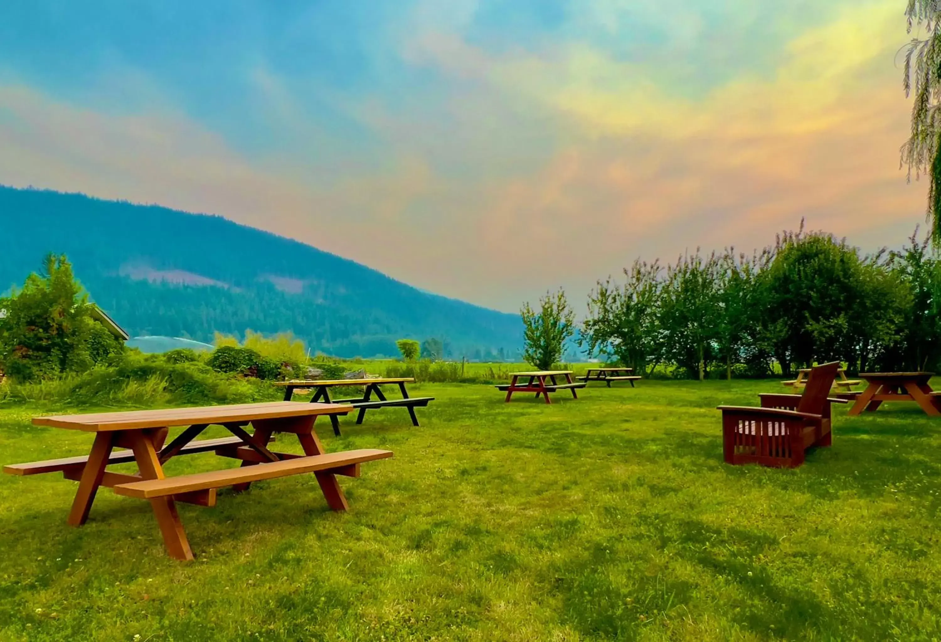 BBQ facilities, Garden in Monashee Motel