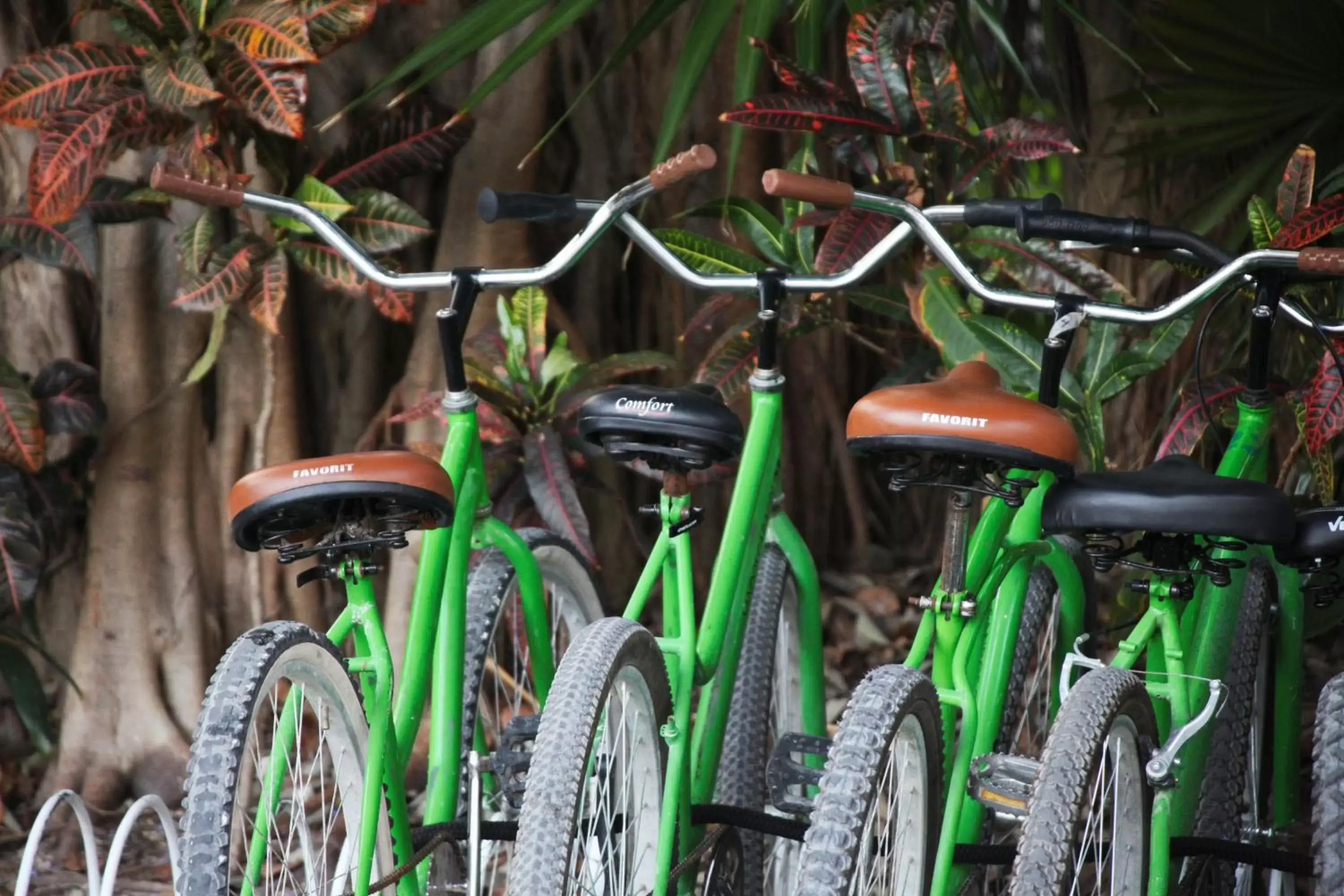 Cycling, Biking in Select Club at Sandos Caracol All Inclusive - Adults Only Area