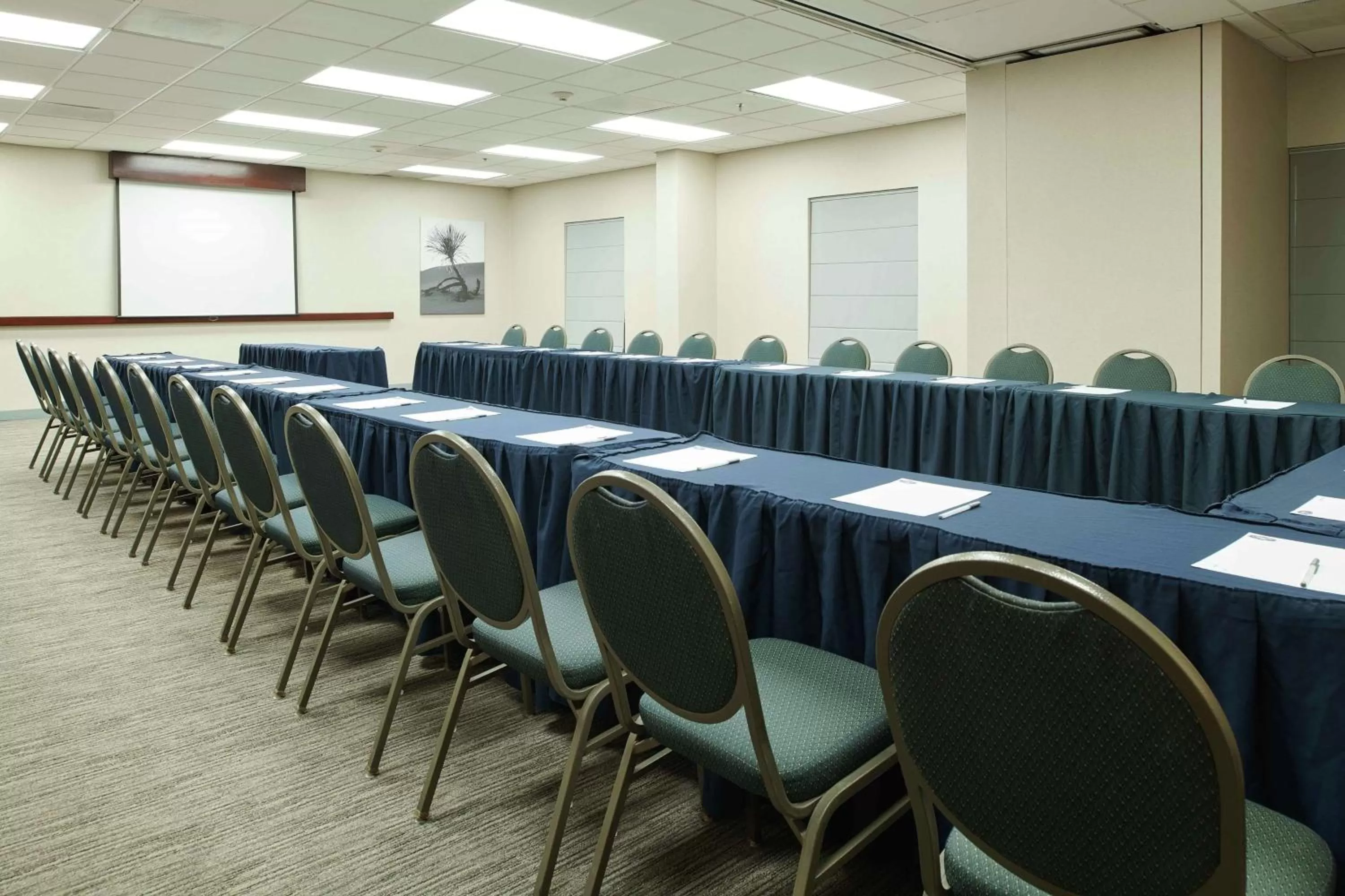 Meeting/conference room in Hampton Inn Ciudad Juarez