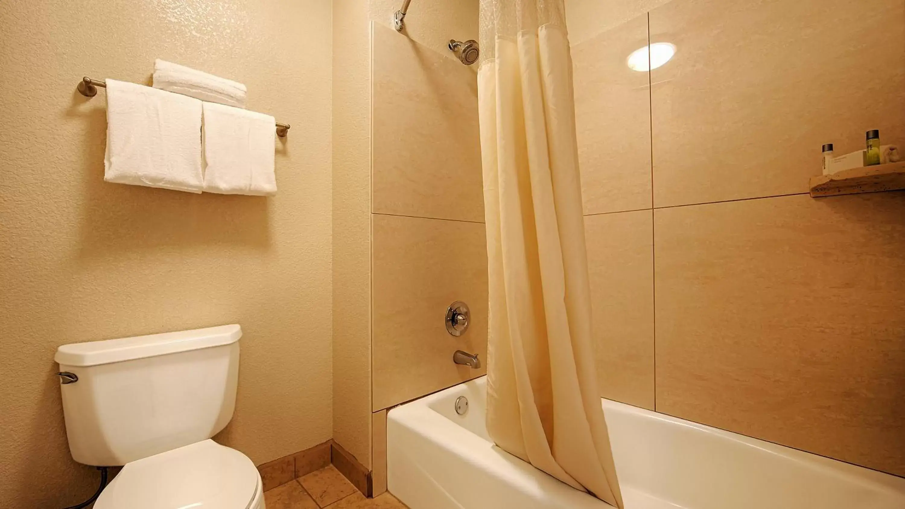 Toilet, Bathroom in Best Western Plus Executive Inn & Suites