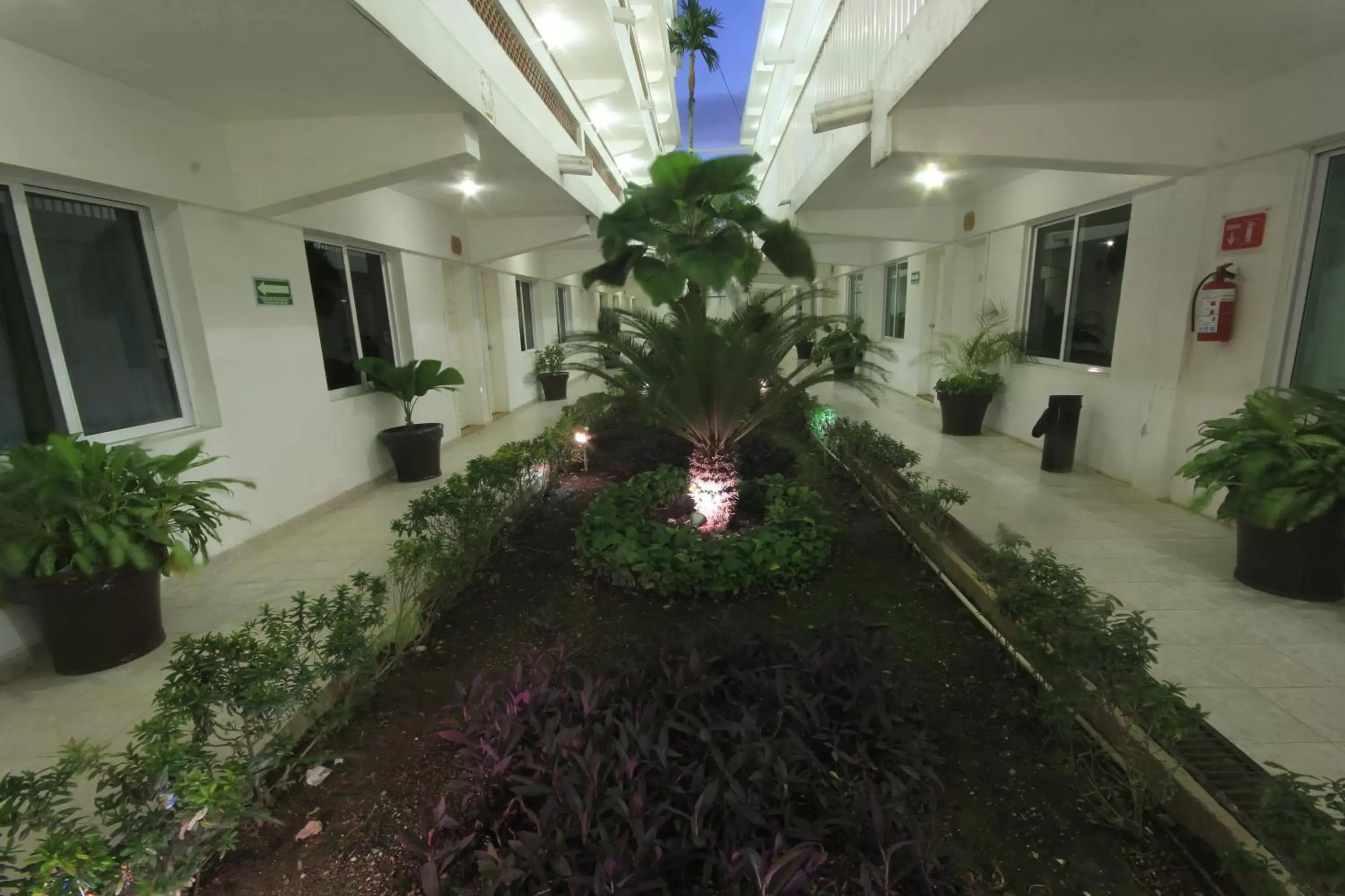 Garden in Hotel Casa Blanca