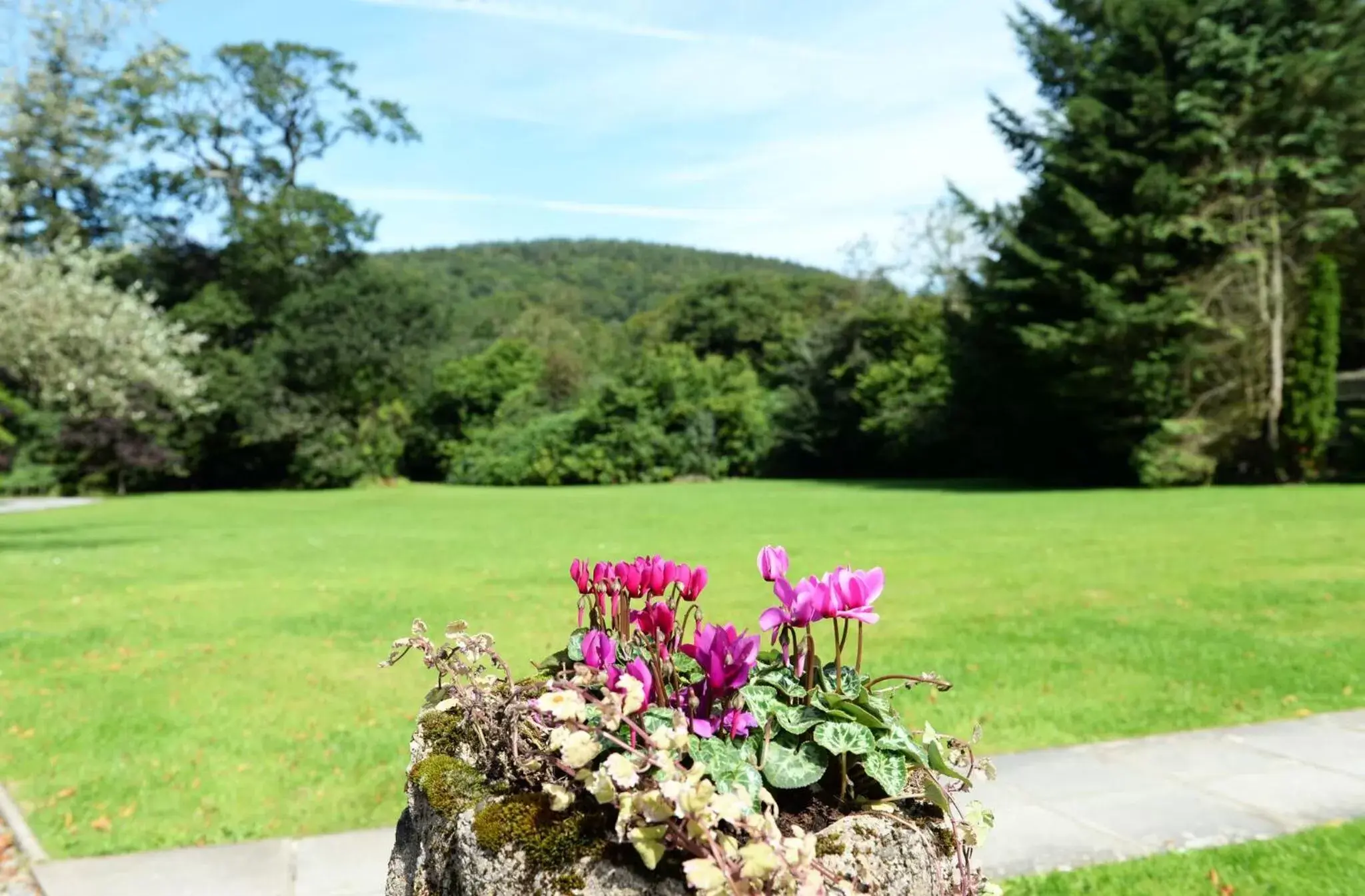 Garden view, Garden in Glangwili Mansion - Luxury 5 star Bed & Breakfast