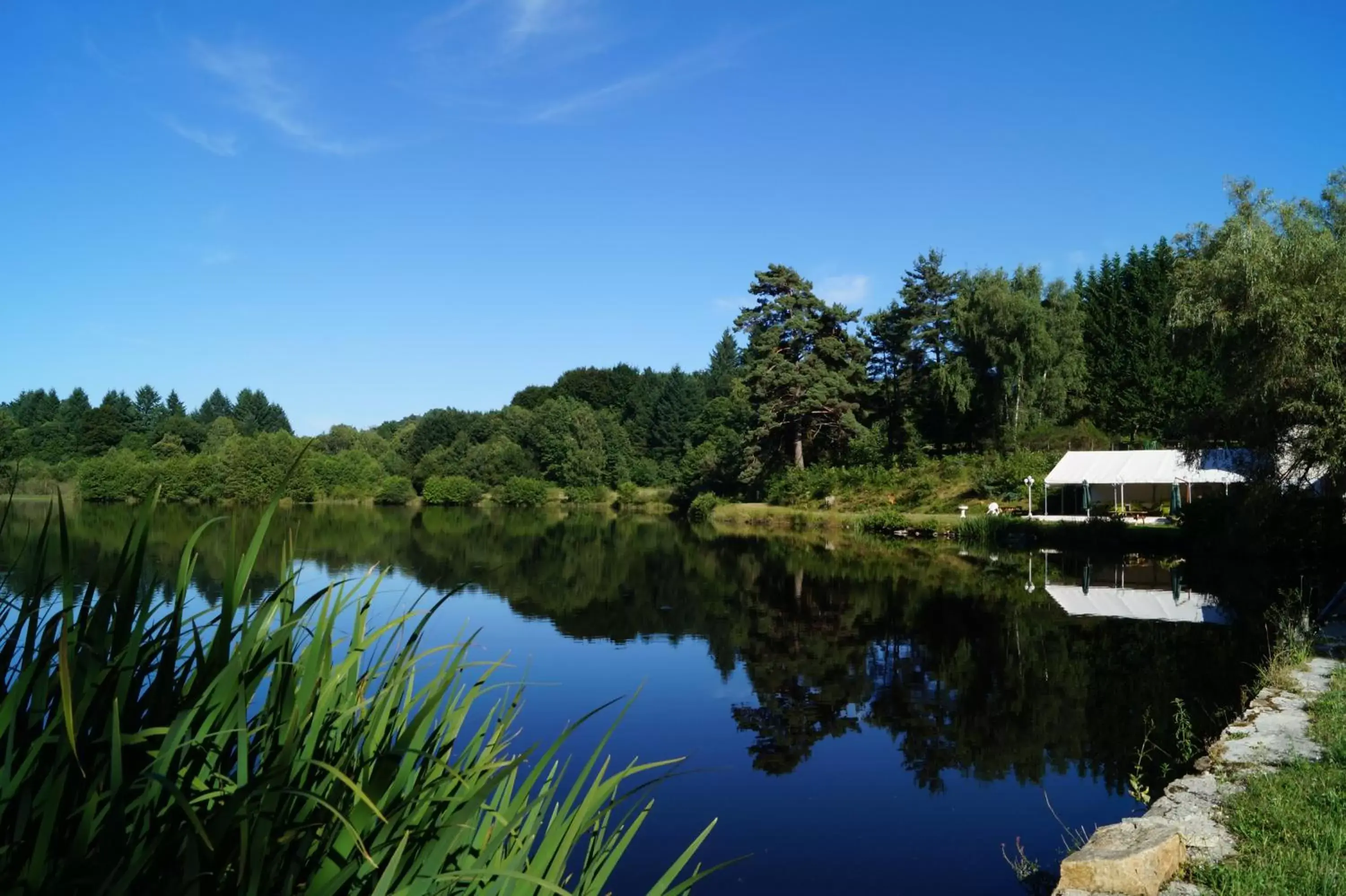 Natural landscape in MOULIN DE LACHAUD