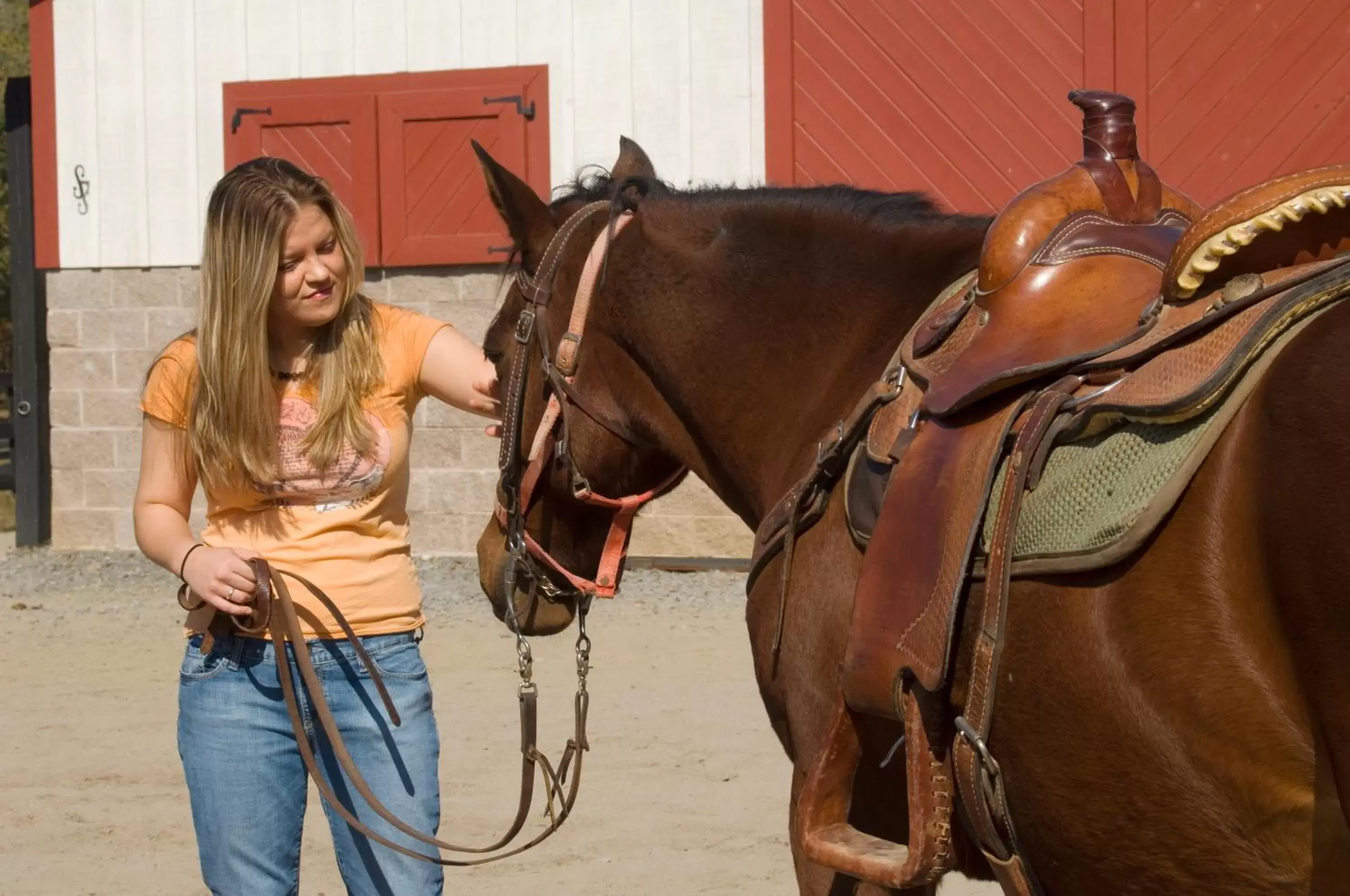 Horse-riding in Brasstown Valley Resort & Spa