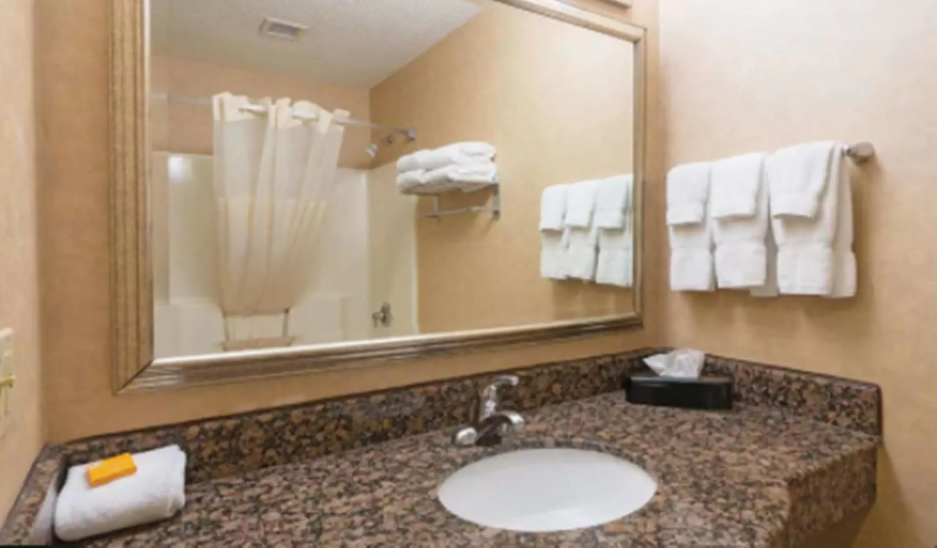 Bathroom in La Quinta Inn by Wyndham Buffalo Airport