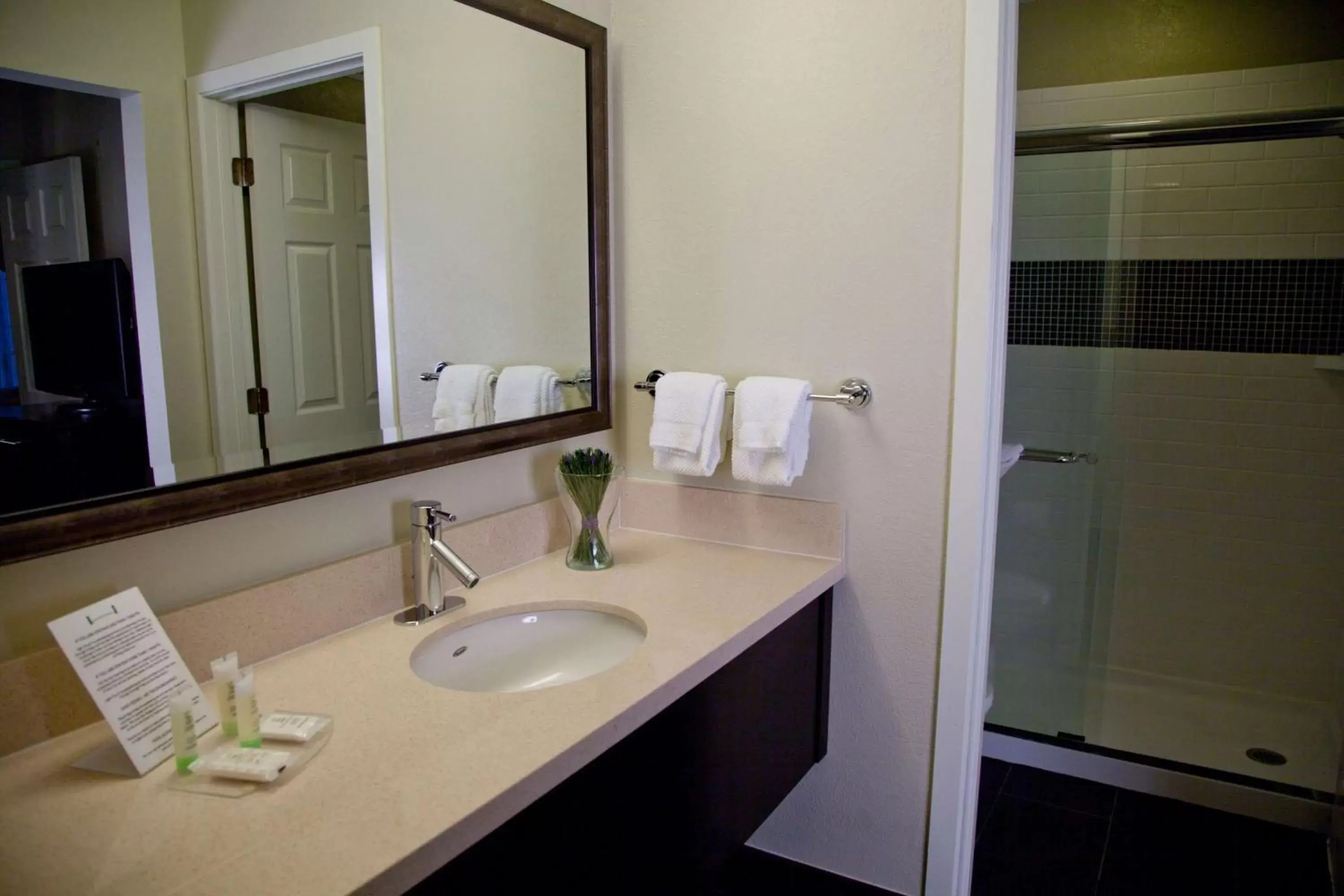 Bathroom in Sonesta ES Suites Sunnyvale